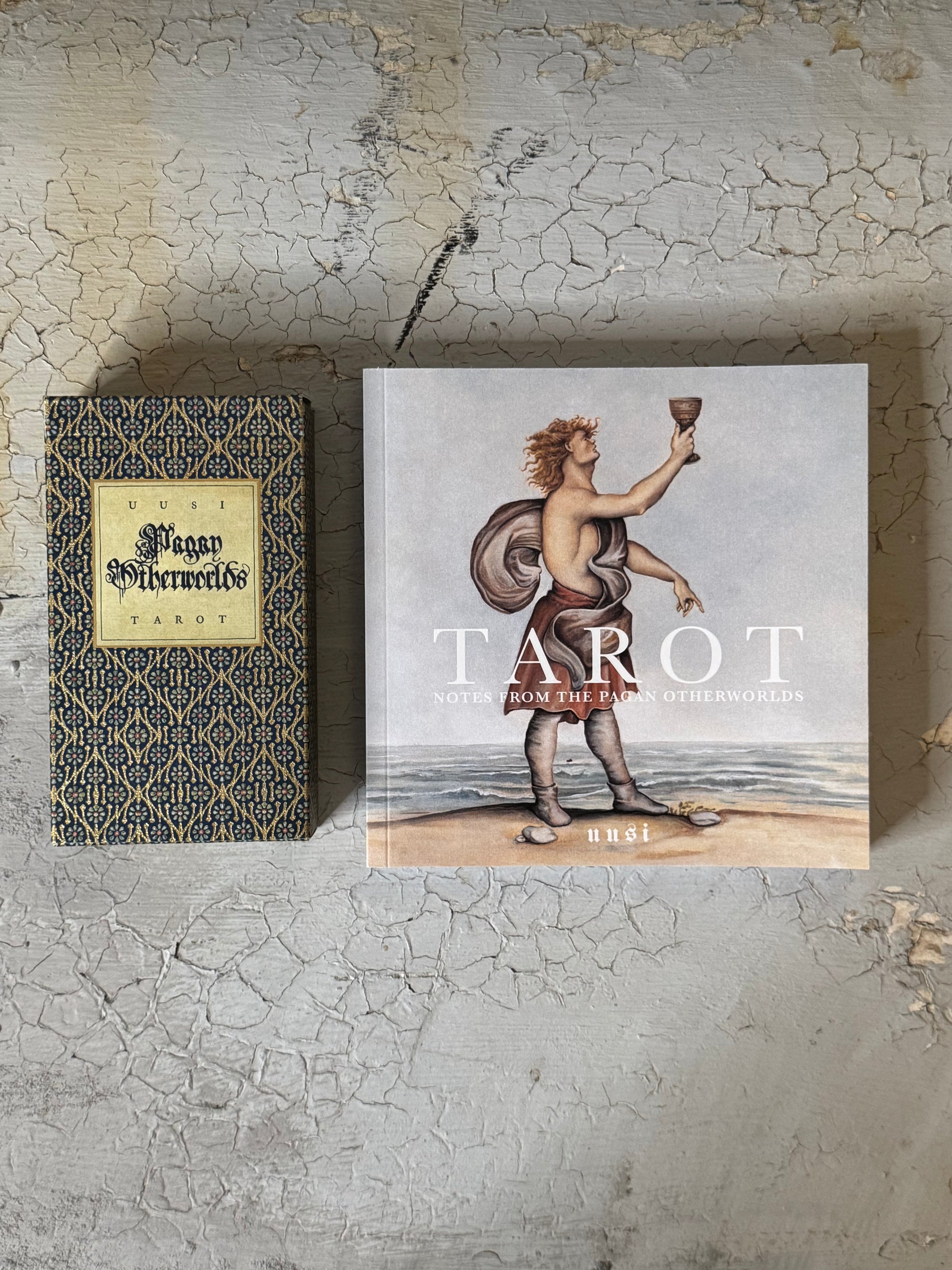 pagan otherworld tarot + book set