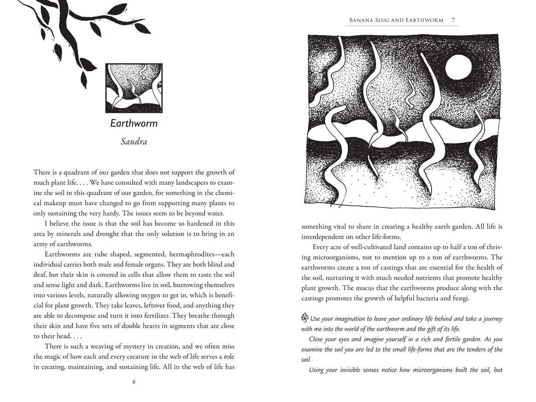 Speaking with Nature by Sandra Ingerman