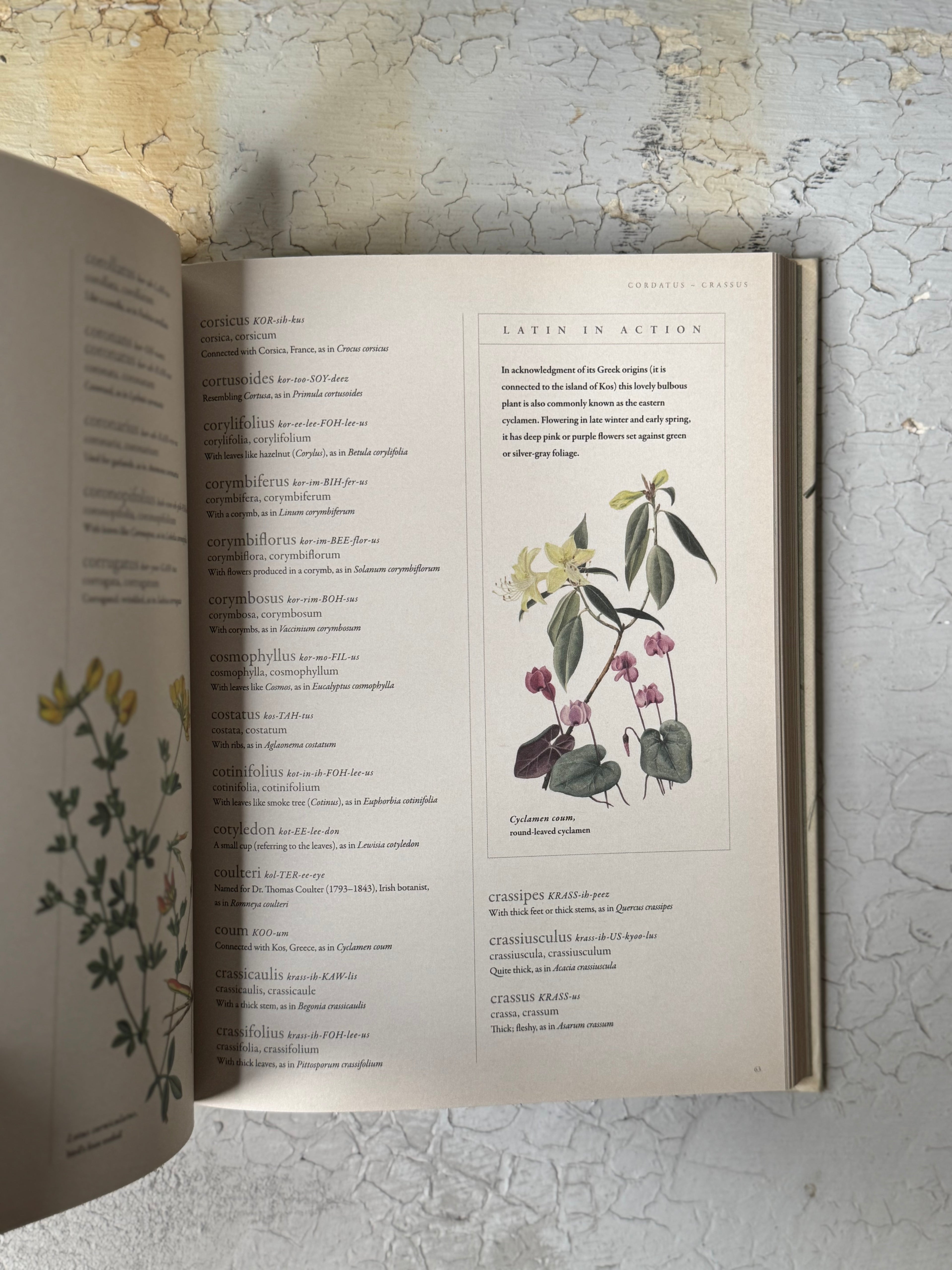 Latin for Gardeners Over 3,000 Plant Names Explained and Explored by Lorraine Harrison