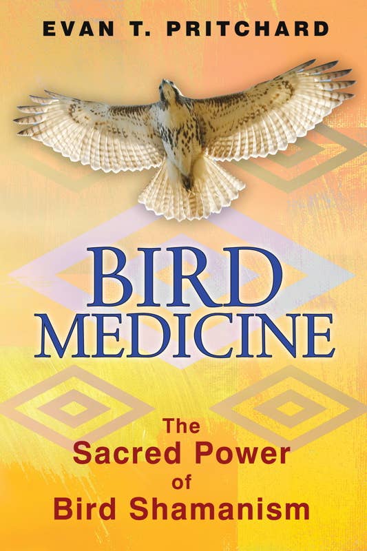 Bird Medicine by Evan T. Pritchard