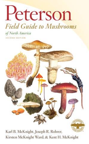Peterson Field Guide to Mushrooms of North America by Karl B. McKnight