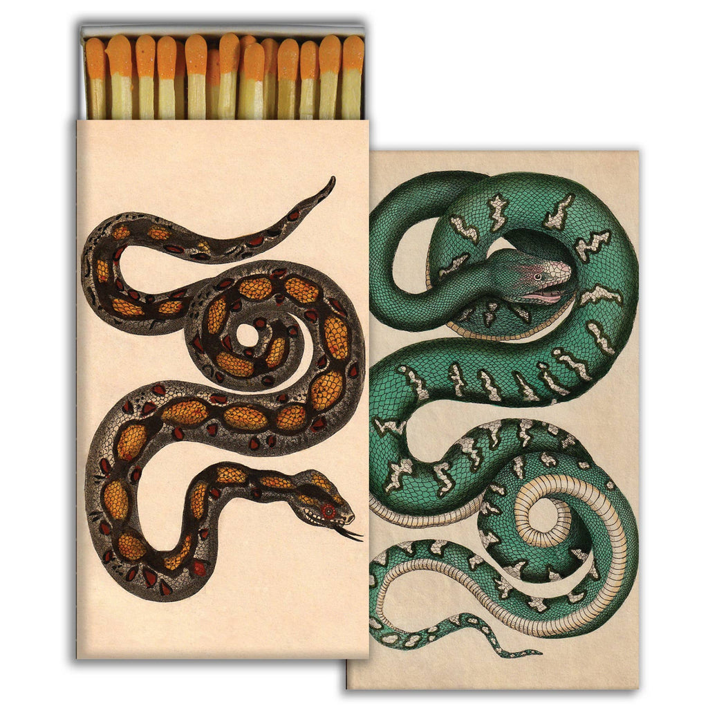 coiled snakes matches