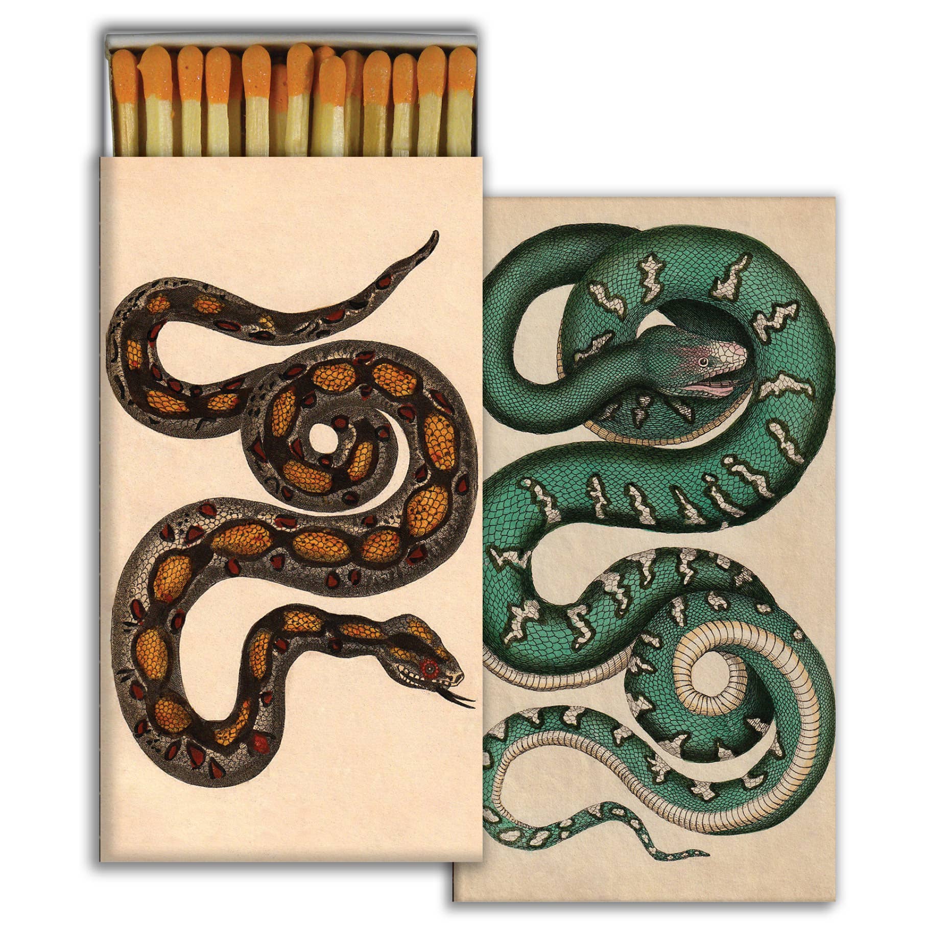 coiled snakes matches