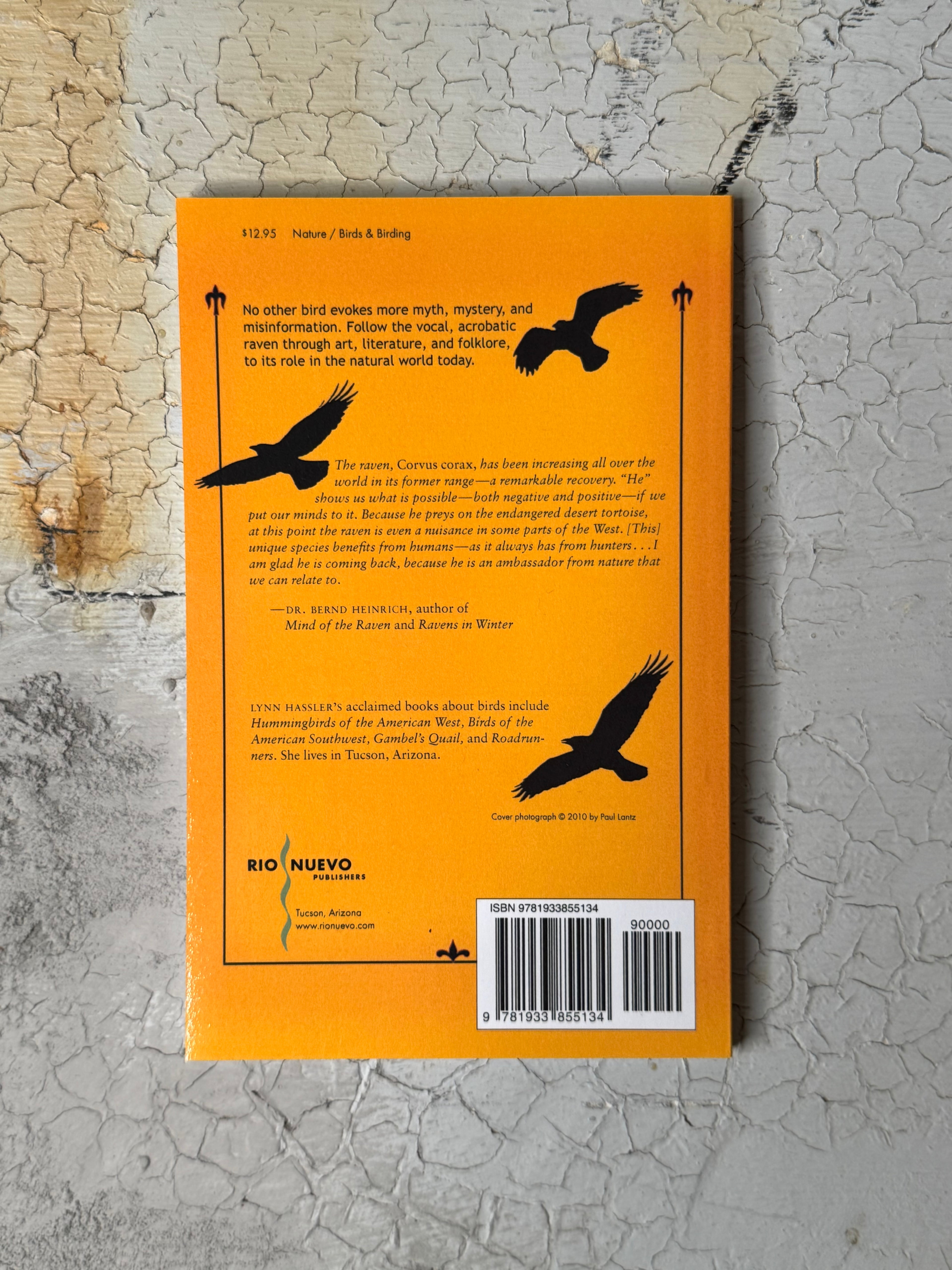 The Raven: Soaring Through History, Legend & Lore by Lynn Hassler