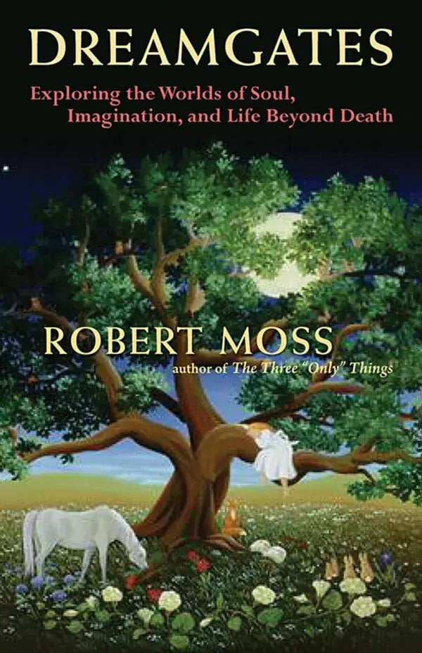 Dreamgates by Robert moss