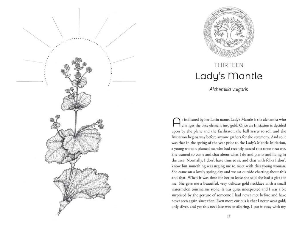 Co-Creating with Nature by Pam Montgomery