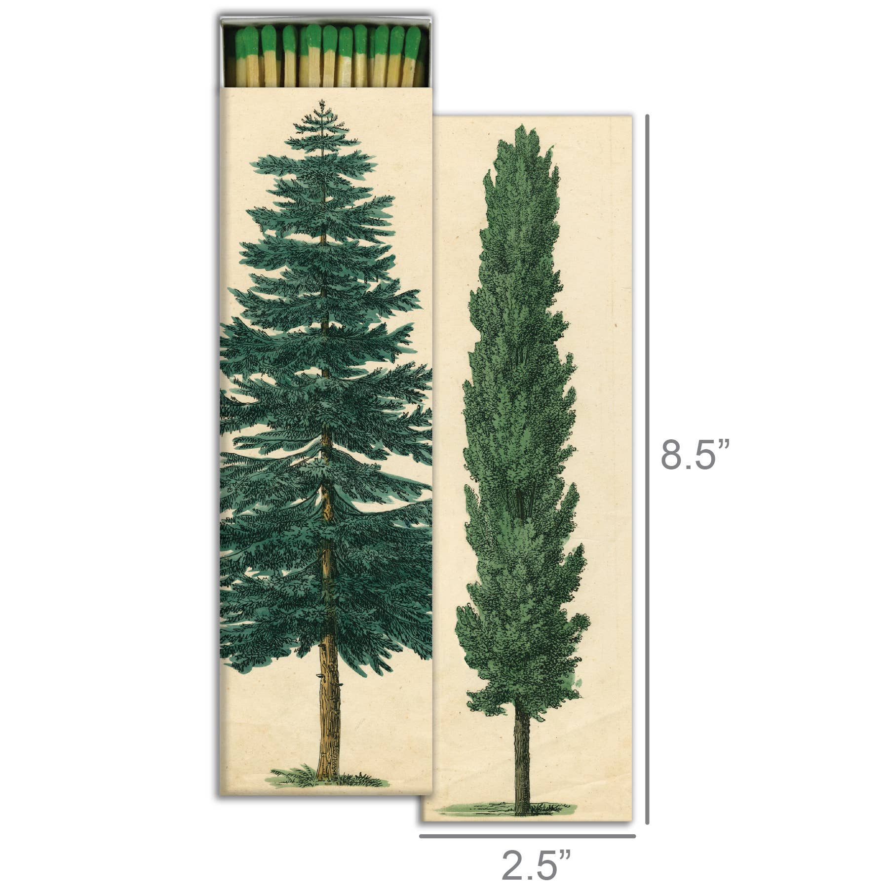 evergreen long matches