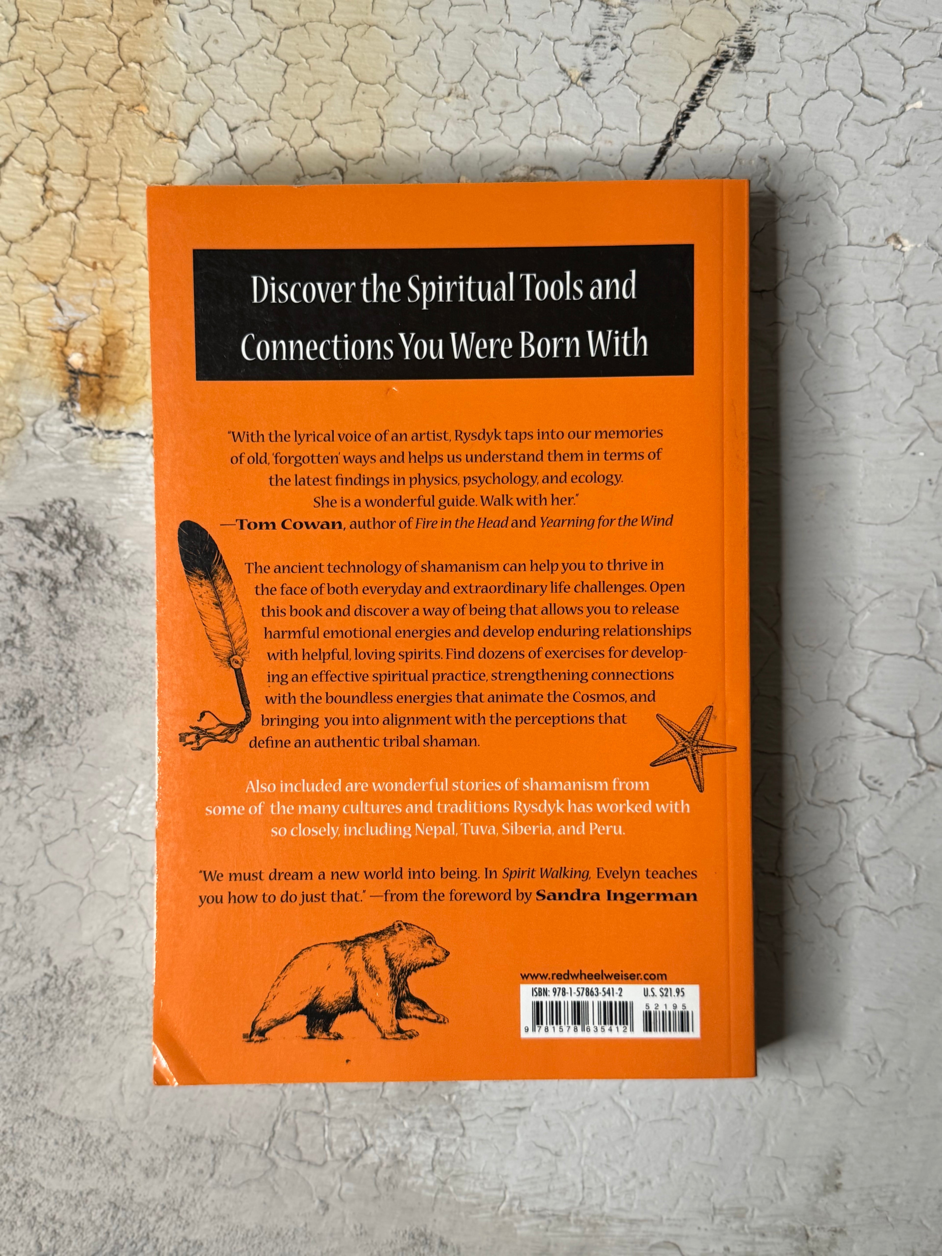 Spirit Walking: A Course in Shamanic Power by Evelyn C.Rysdyk