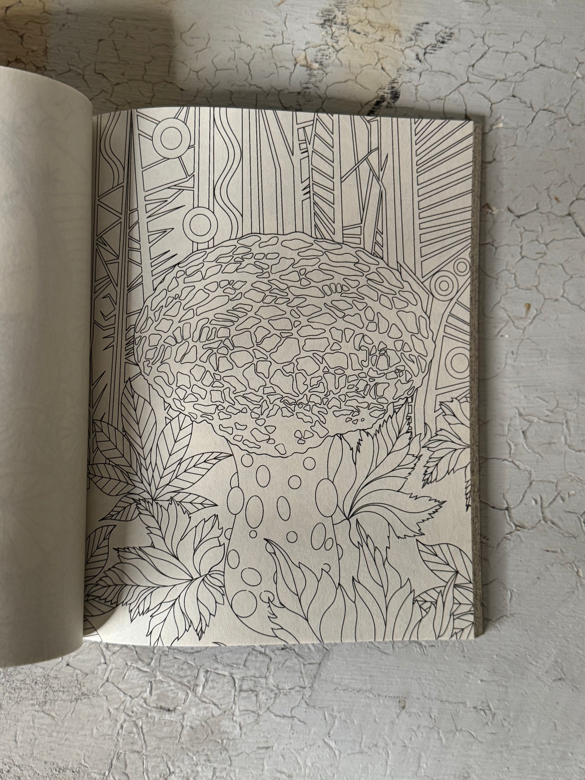 Mushroom Daydream Coloring Book by Gerta O. Egy