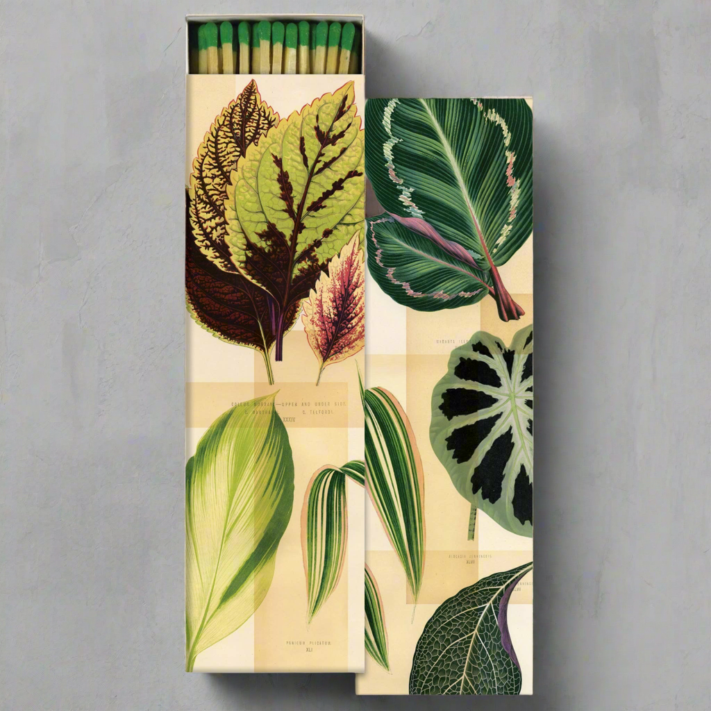 Extra Long Matches- Garden Foliage