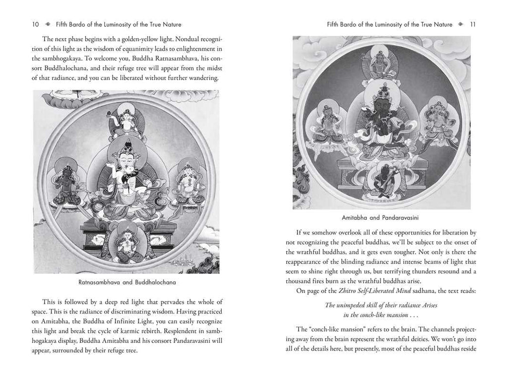 Six Bardos of the Tibetan Book of the Dead by Ven. Khenchen Palden Sherab Rinpoche