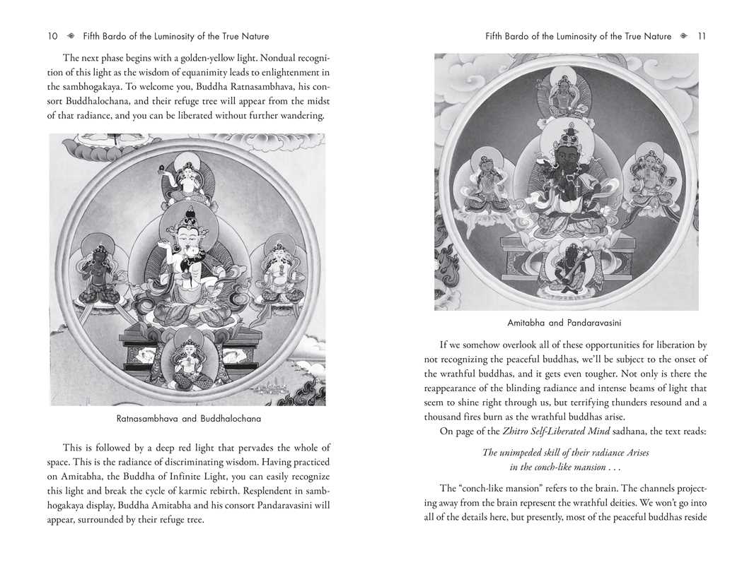 Six Bardos of the Tibetan Book of the Dead by Ven. Khenchen Palden Sherab Rinpoche