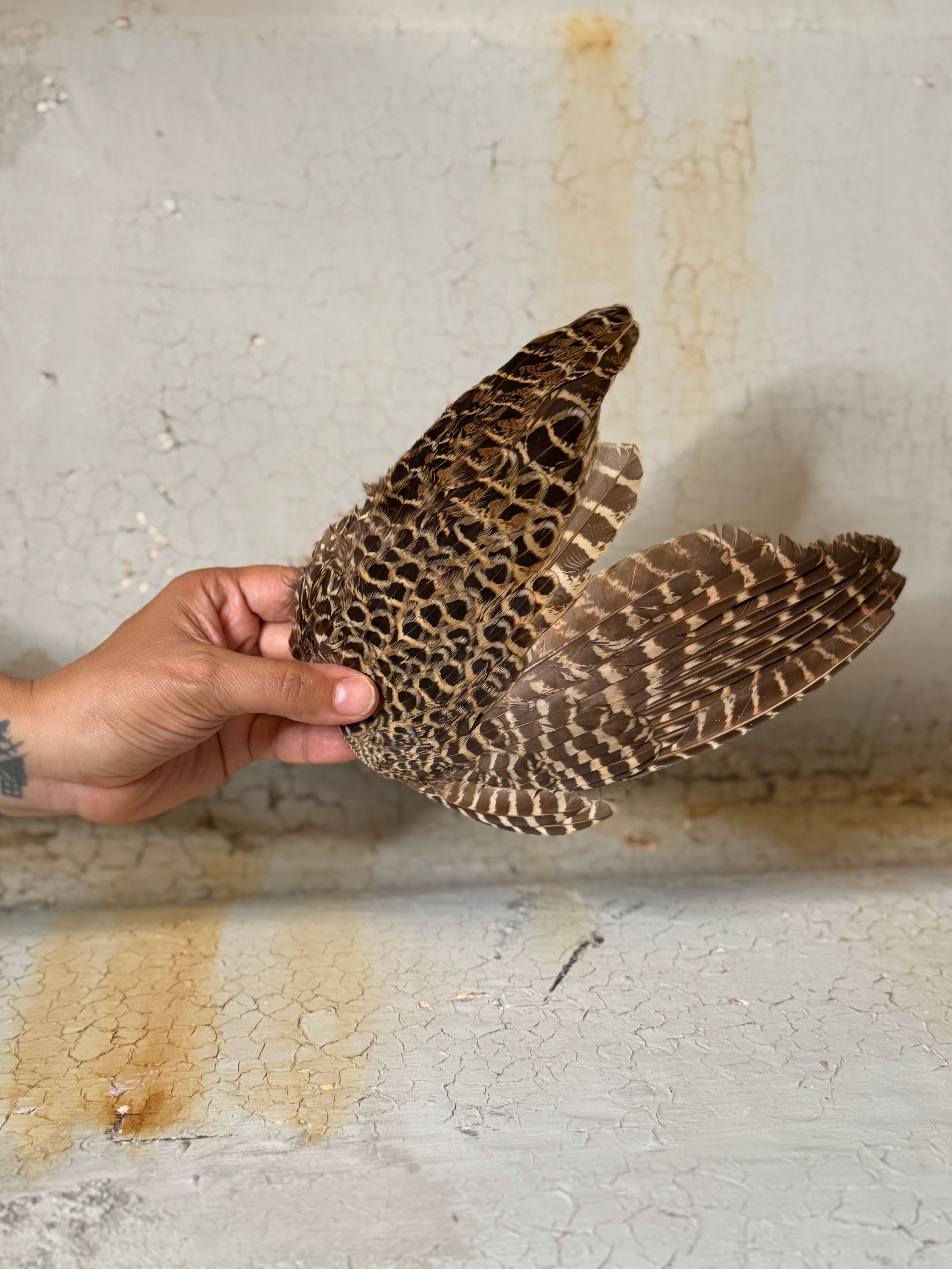 handmade feather fans