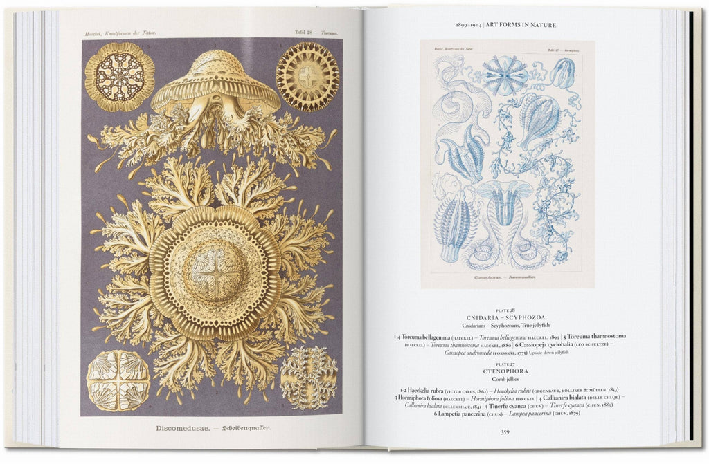 The Art and Science of Ernst Haeckel. 45th Ed