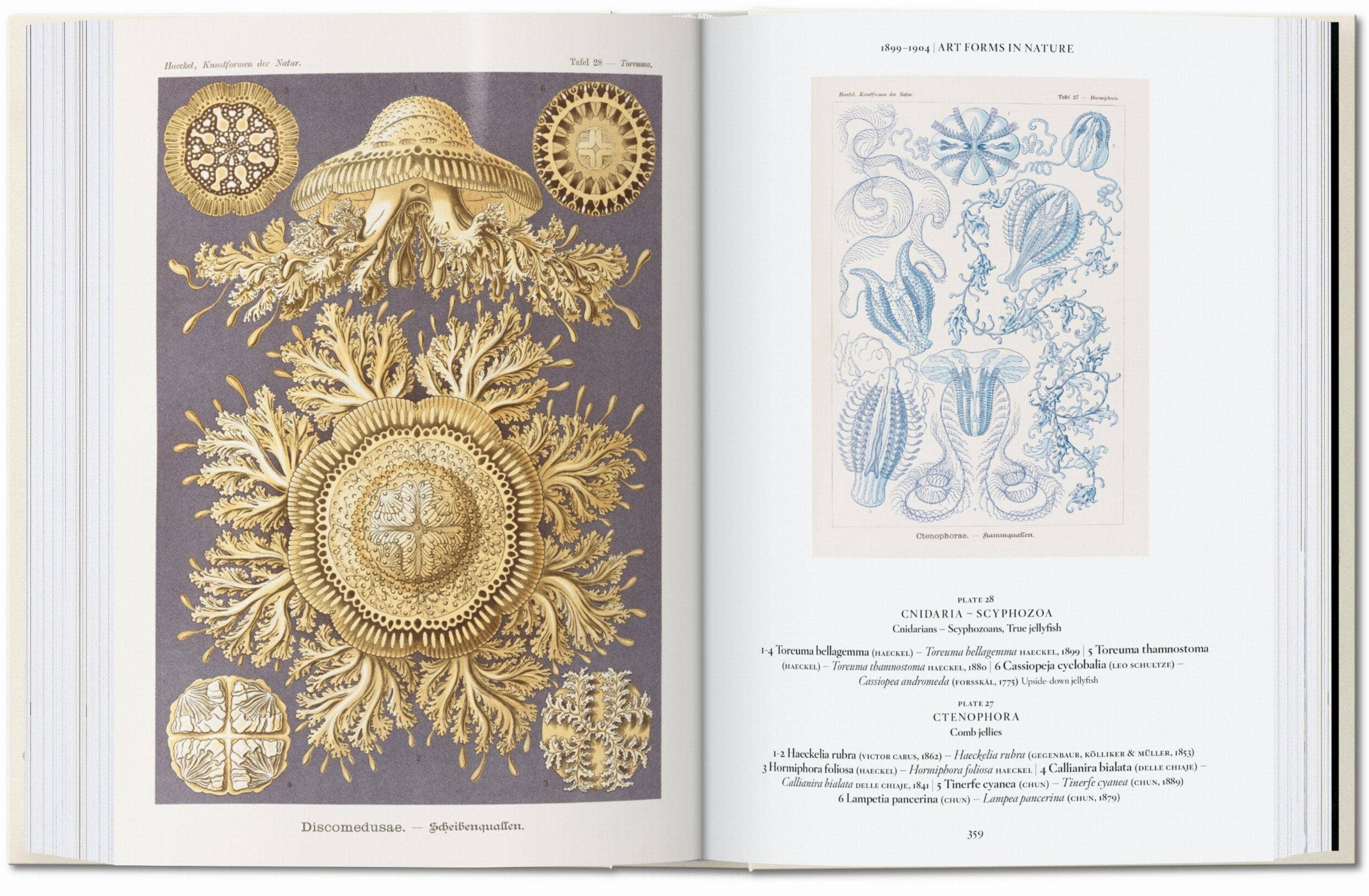 The Art and Science of Ernst Haeckel. 45th Ed
