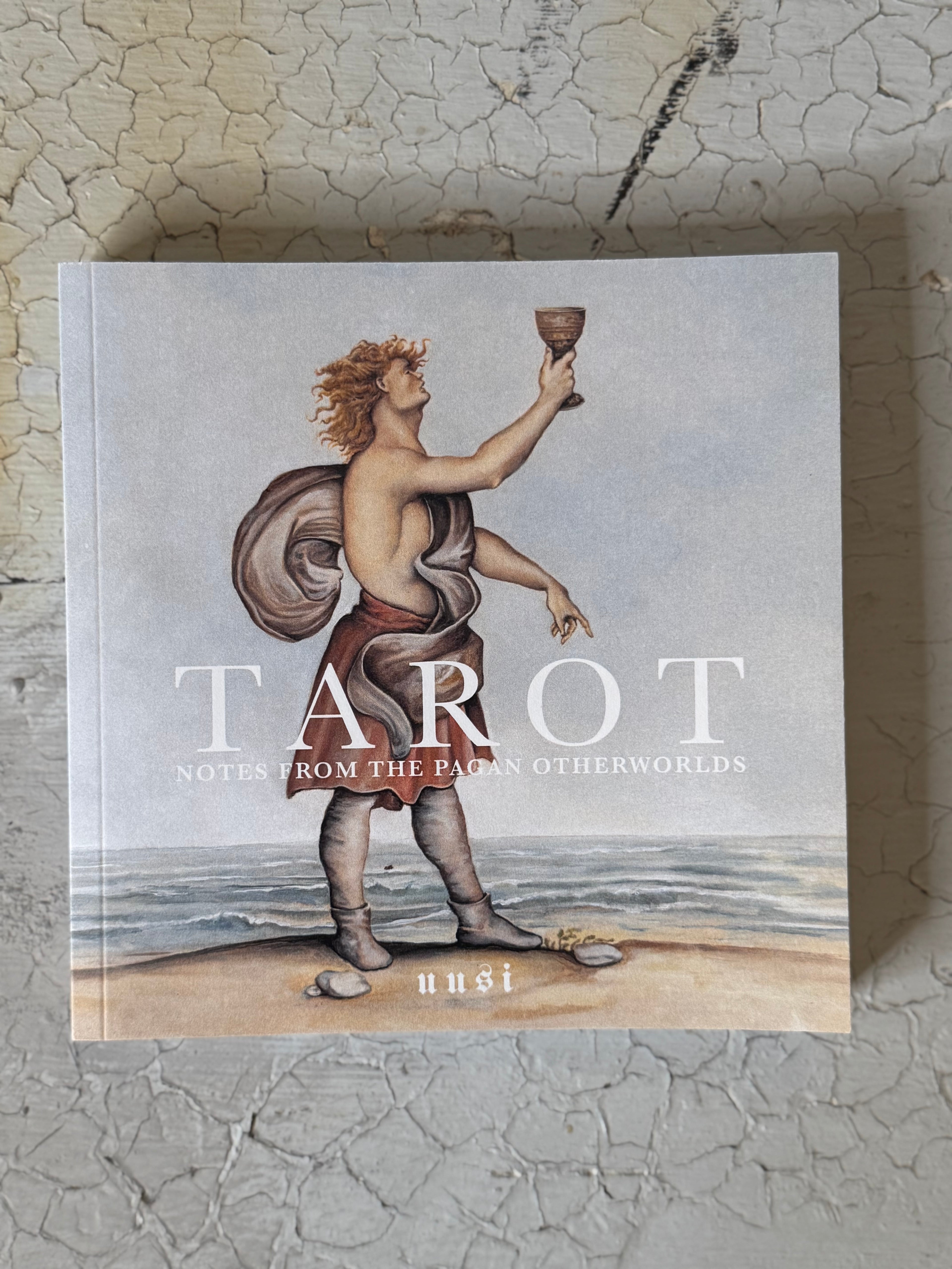 pagan otherworld tarot + book set