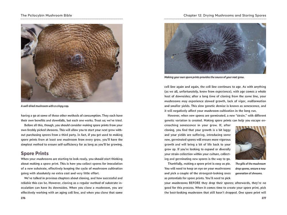 Psilocybin Mushroom Bible - inside