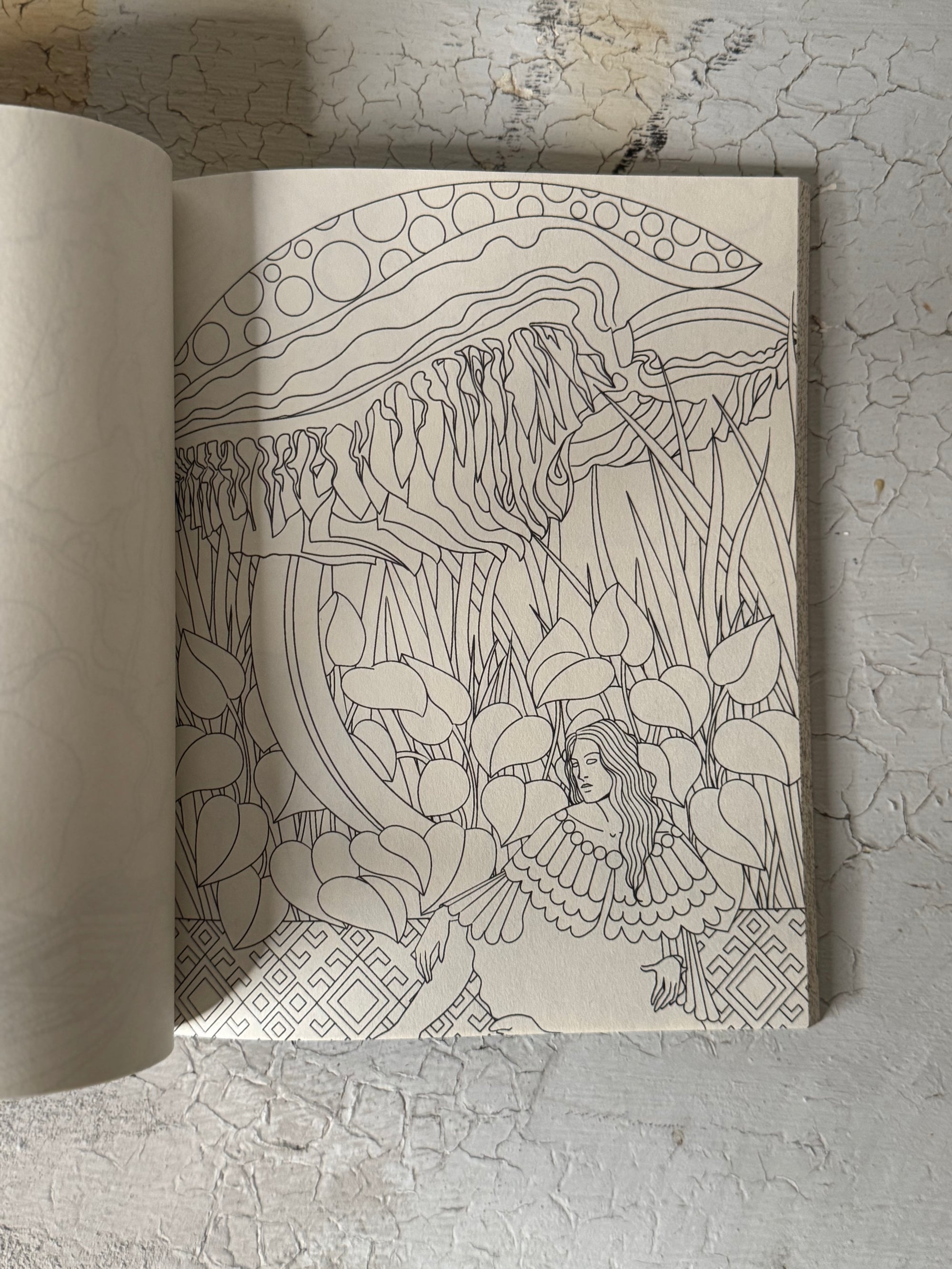 Mushroom Daydream Coloring Book by Gerta O. Egy
