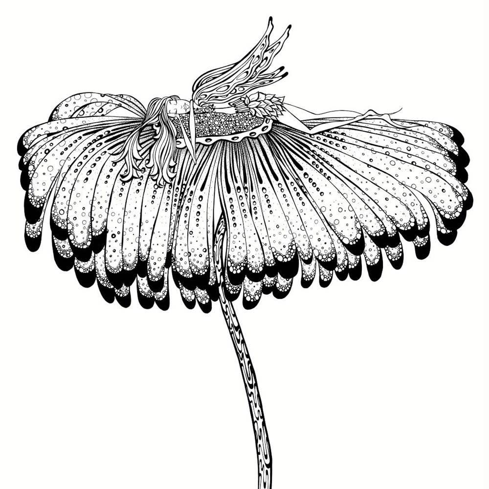 Fairies in Dreamland: An Artist's Coloring Book - page 2