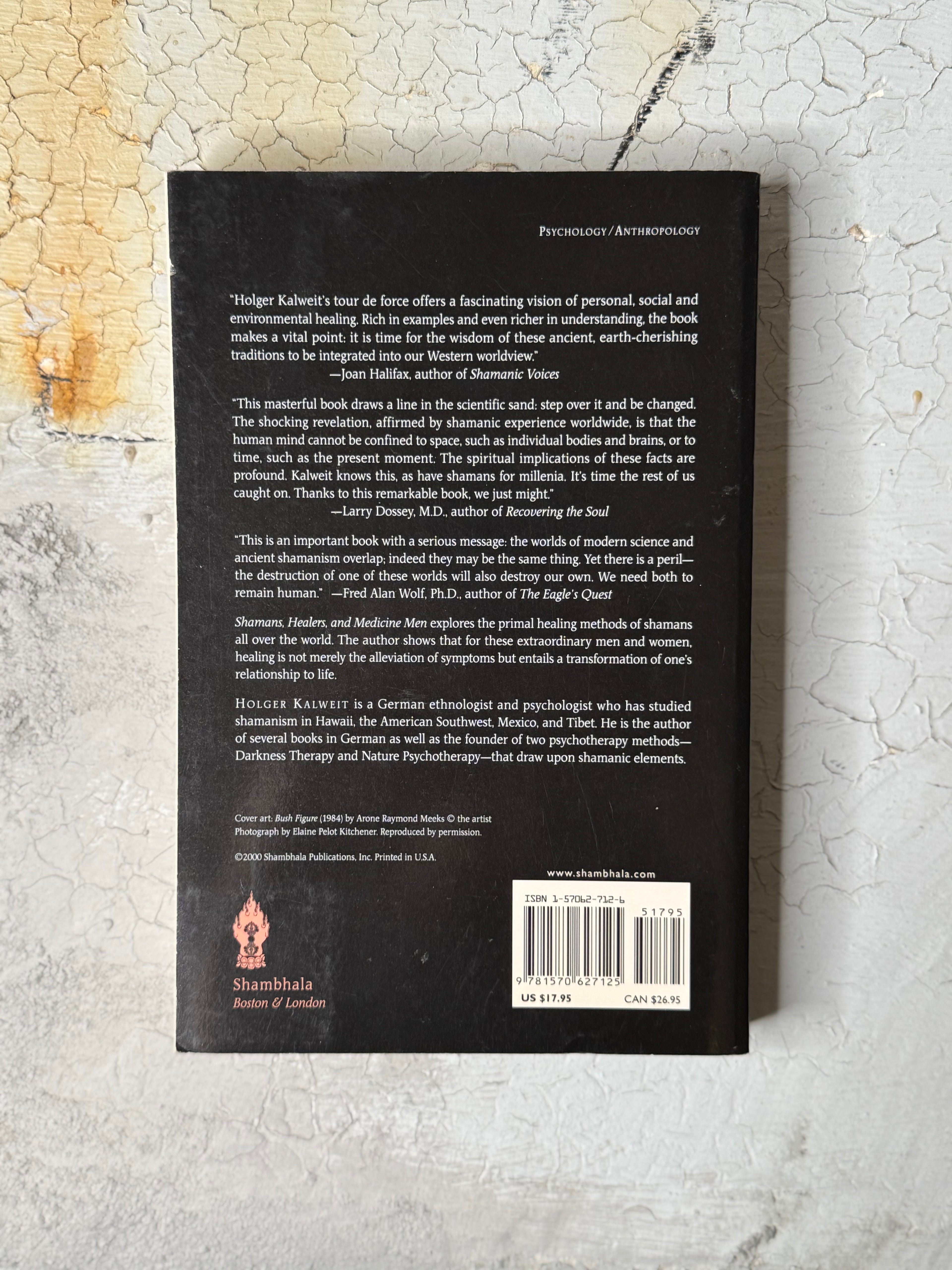 Shamans, healers and medicine men by HOLGER KALWEIT