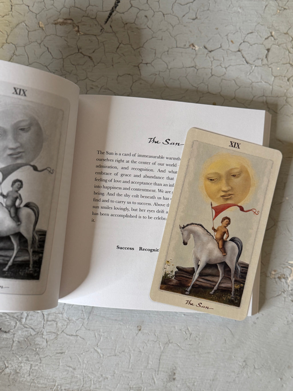pagan otherworld tarot + book set