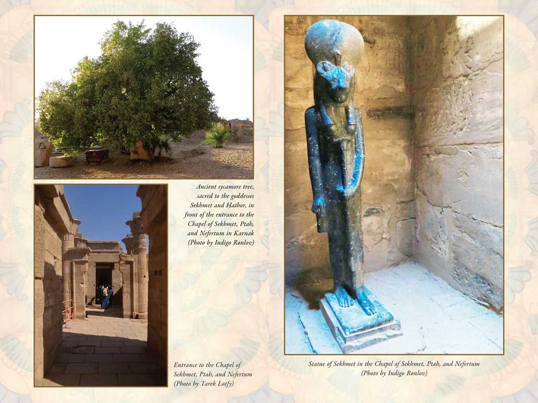 Sekhmet - inside