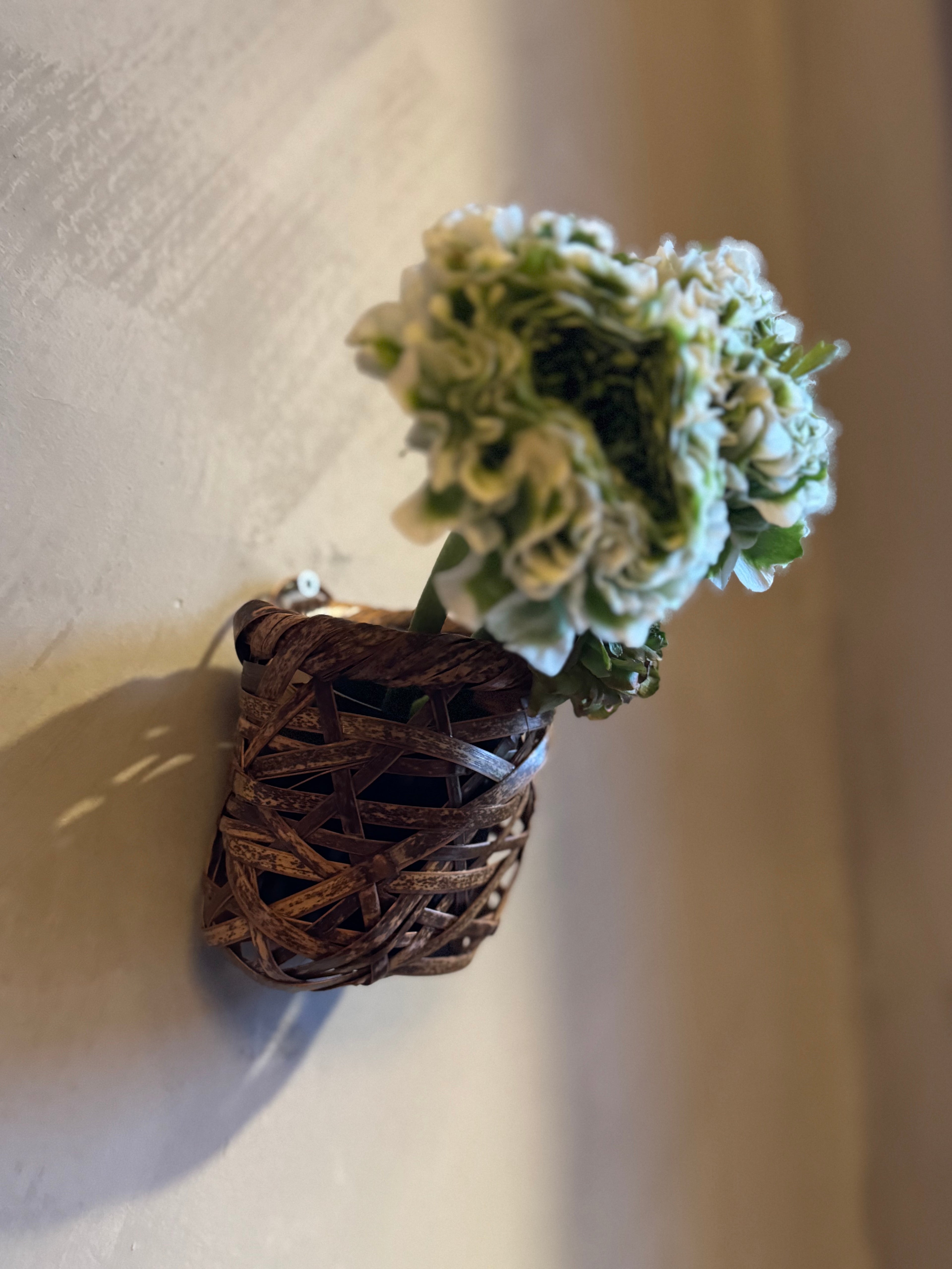 Japanese basketry wall vase