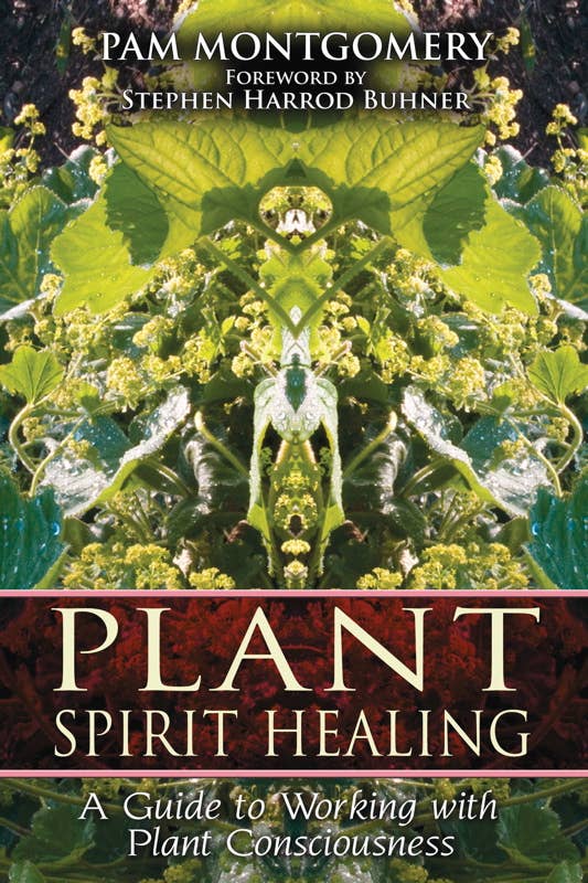 Book of Moldavite by Robert Simmons
