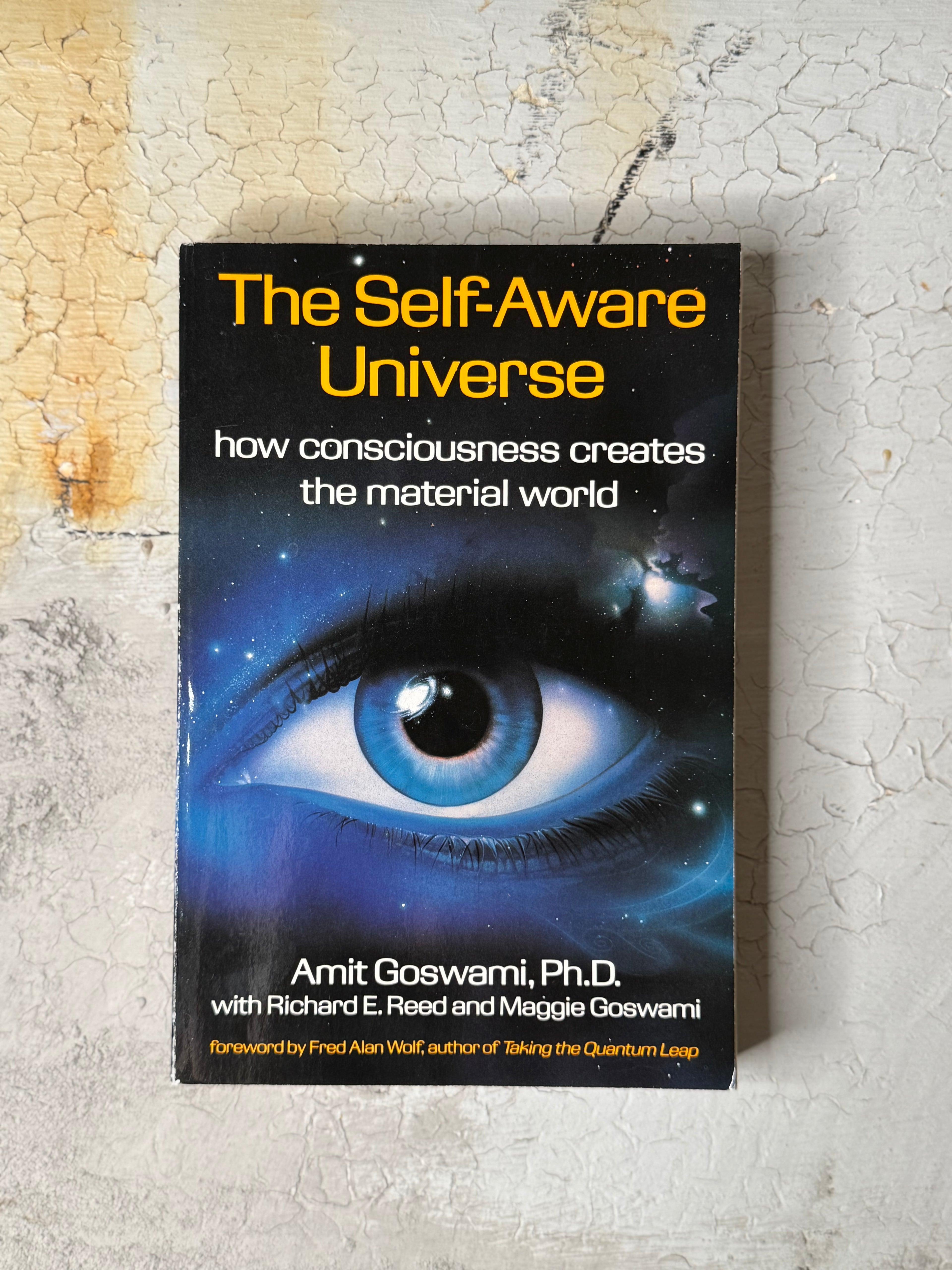 The Self-Aware Universe: 
how consciousness creates the material world by Amit Goswami