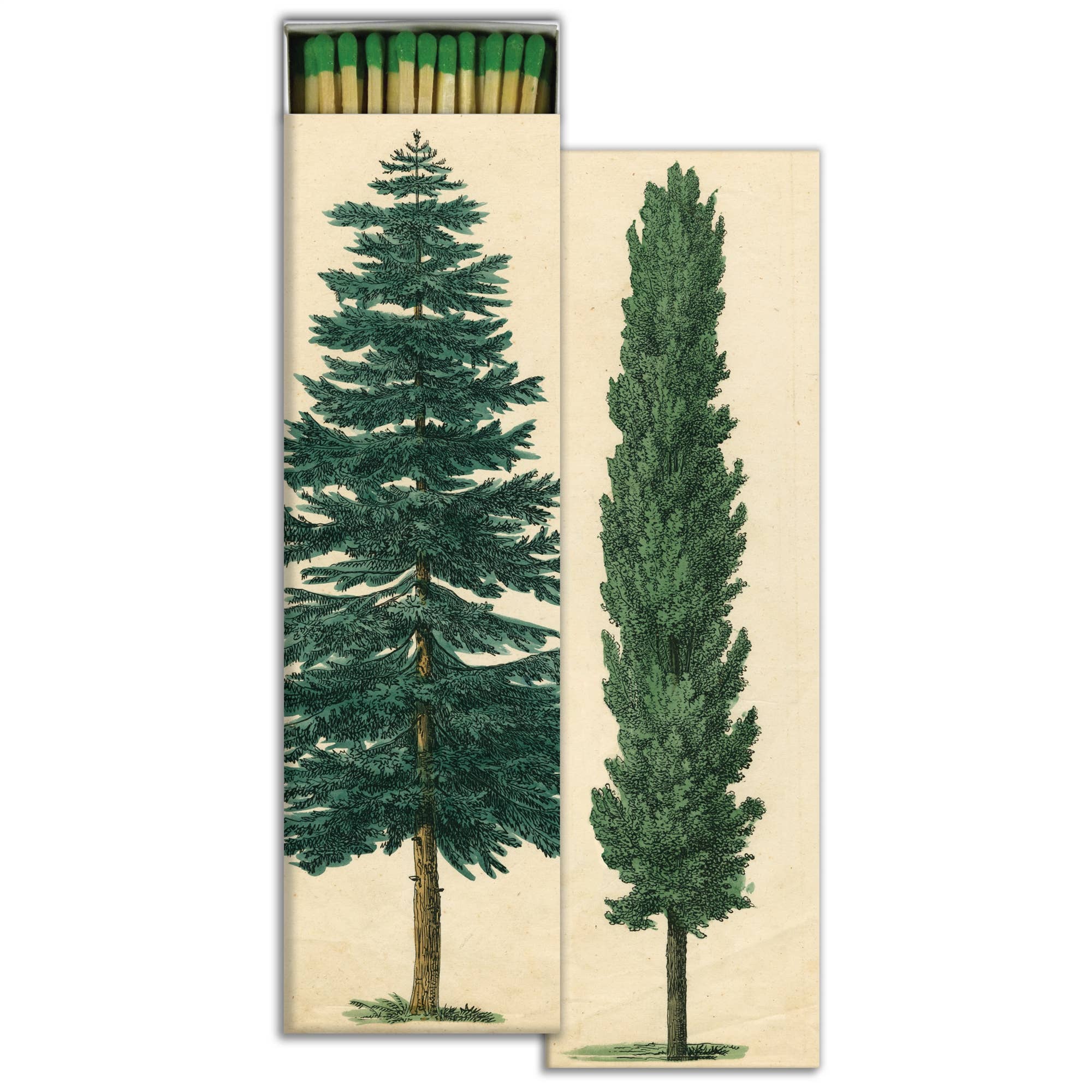 evergreen long matches