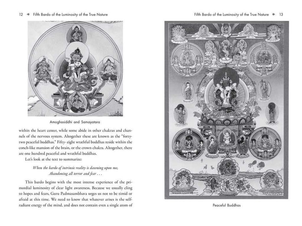 Six Bardos of the Tibetan Book of the Dead by Ven. Khenchen Palden Sherab Rinpoche