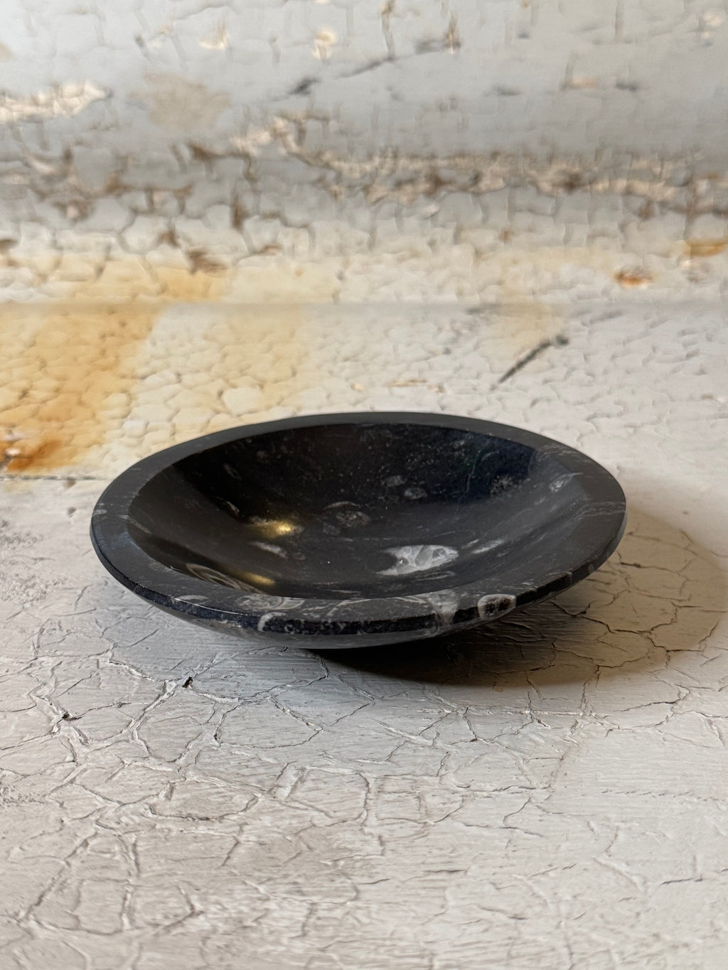 Orthoceras  Bowl