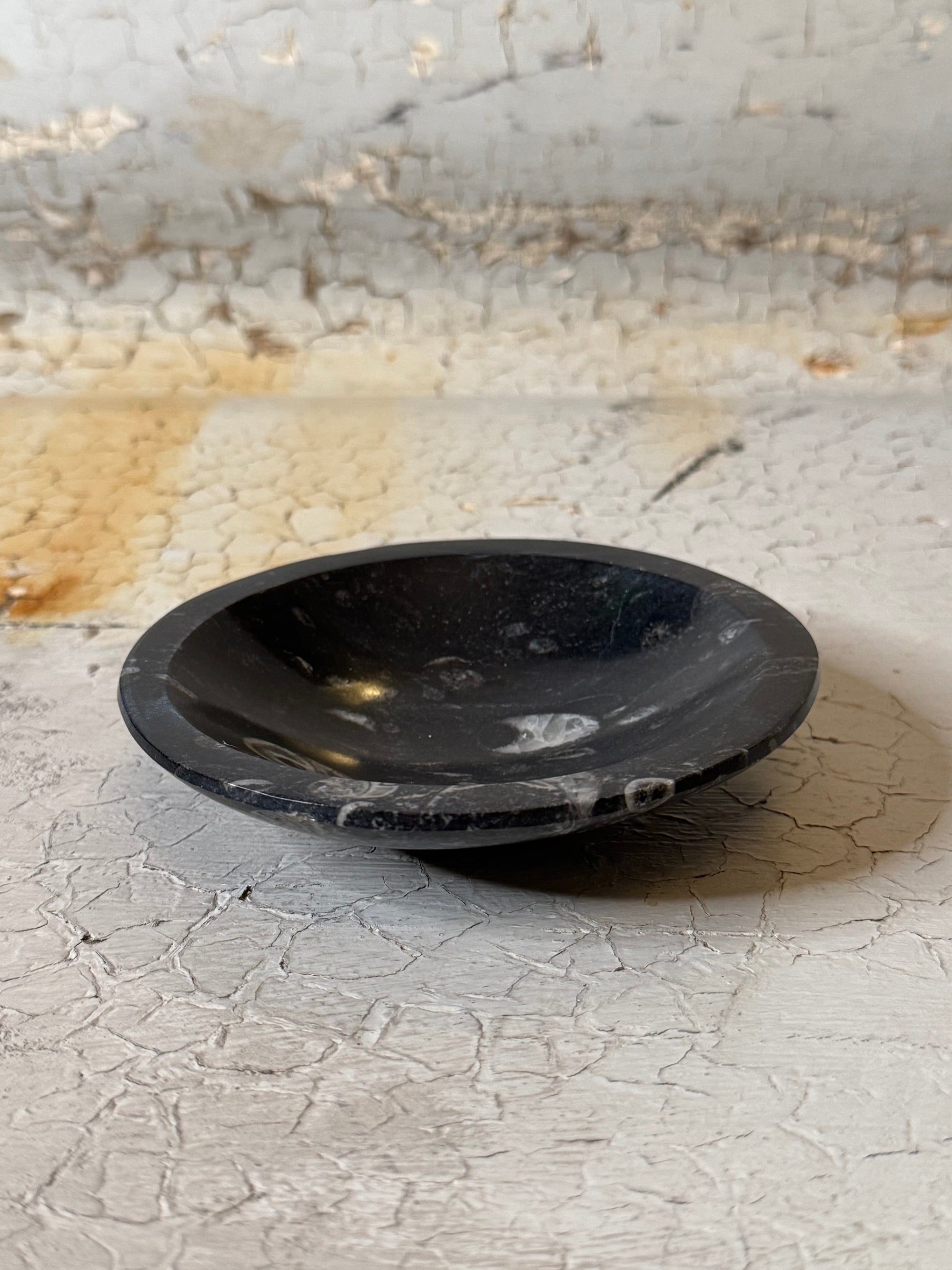 Orthoceras  Bowl