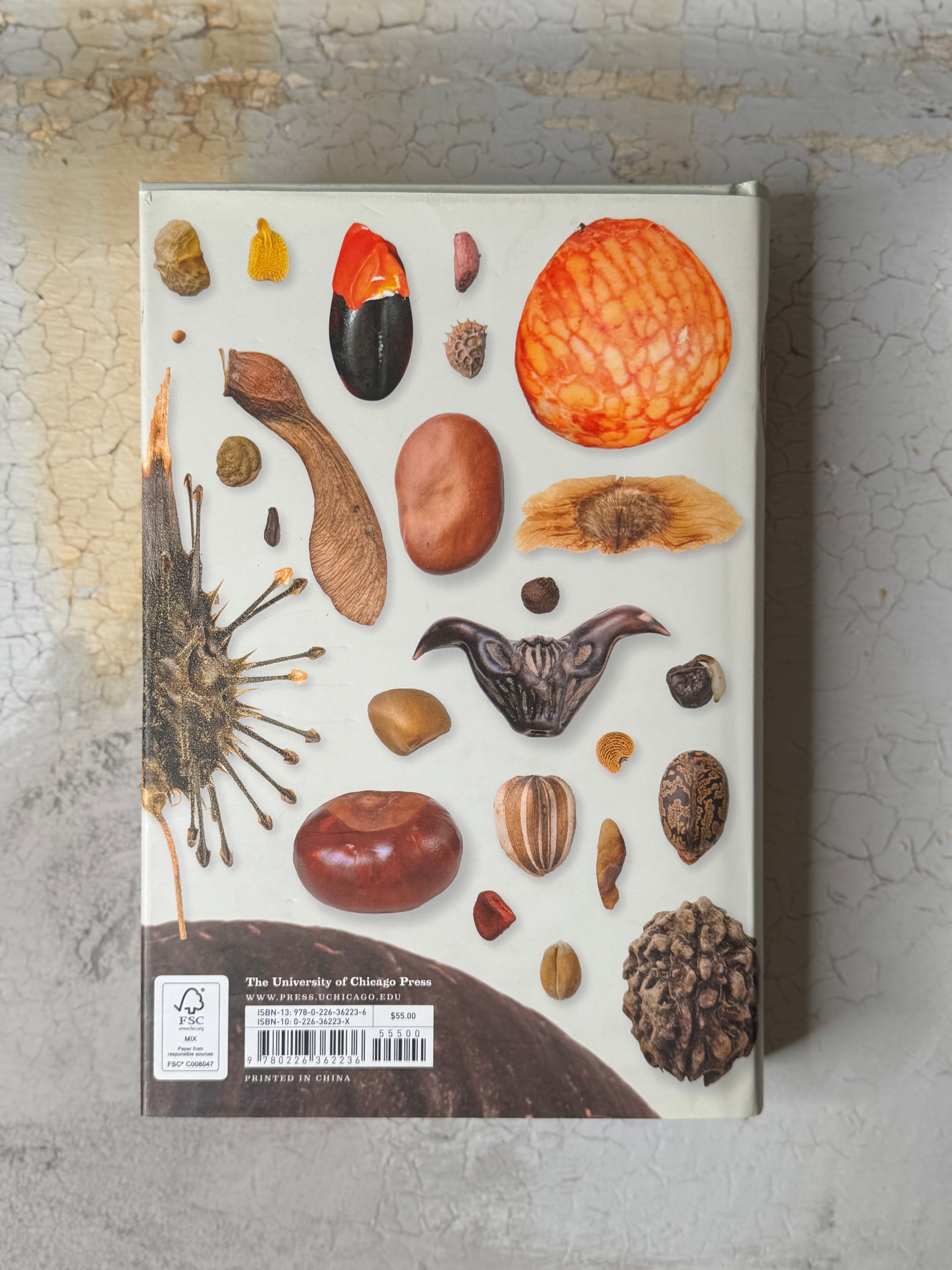 The Book of Seeds  Edited by Paul Smith