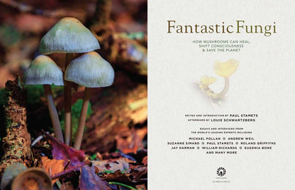 Fantastic Fungi: Expanding Consciousness Alternative Healing - into