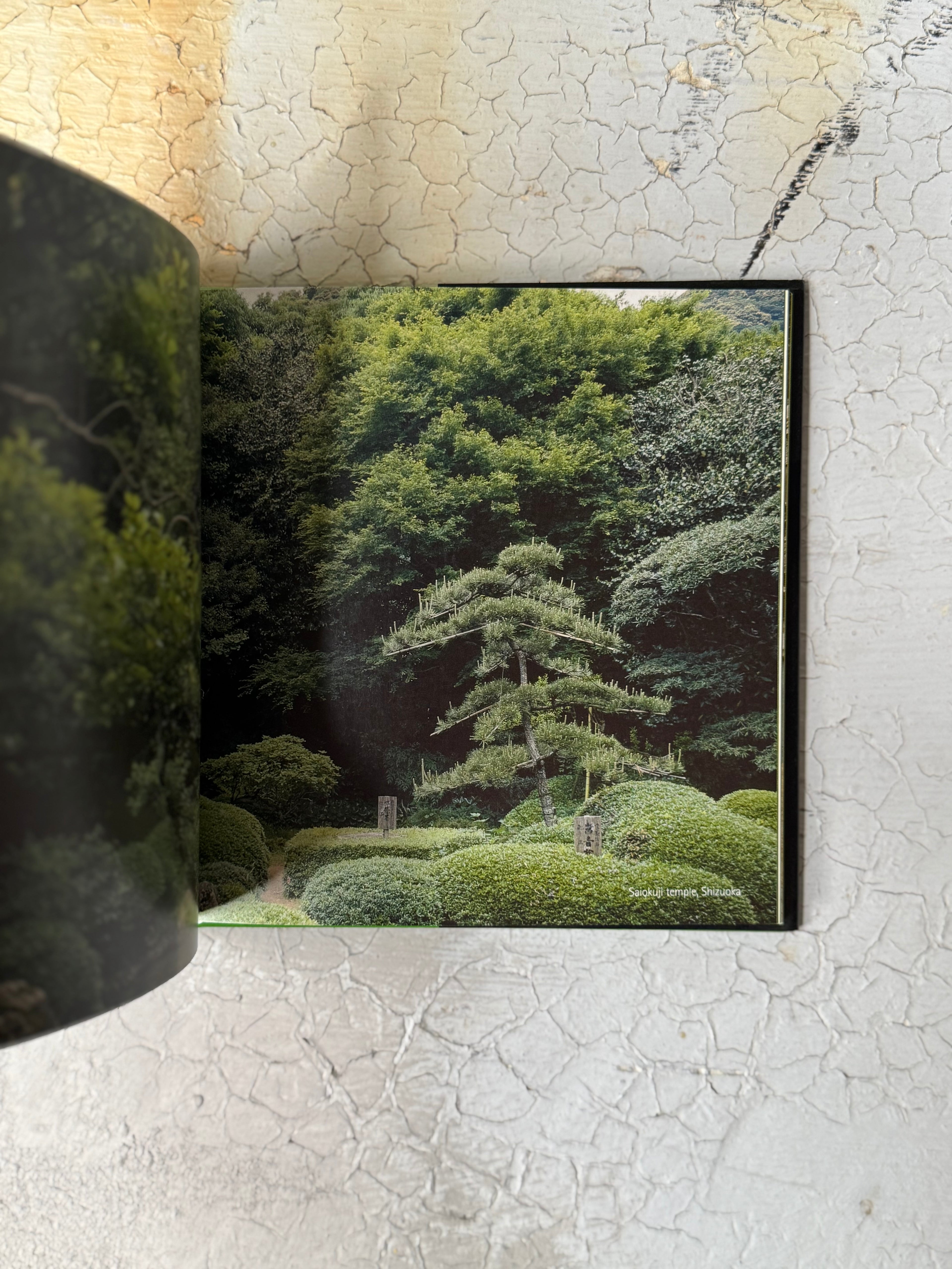 Infinite Spaces: The Art and Wisdom of the Japanese Garden by Joe Earle