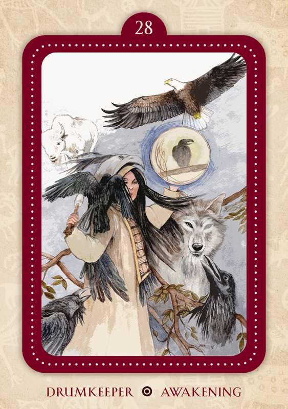 Spirit of the Drum Oracle by Barbara  Meiklejohn-Free