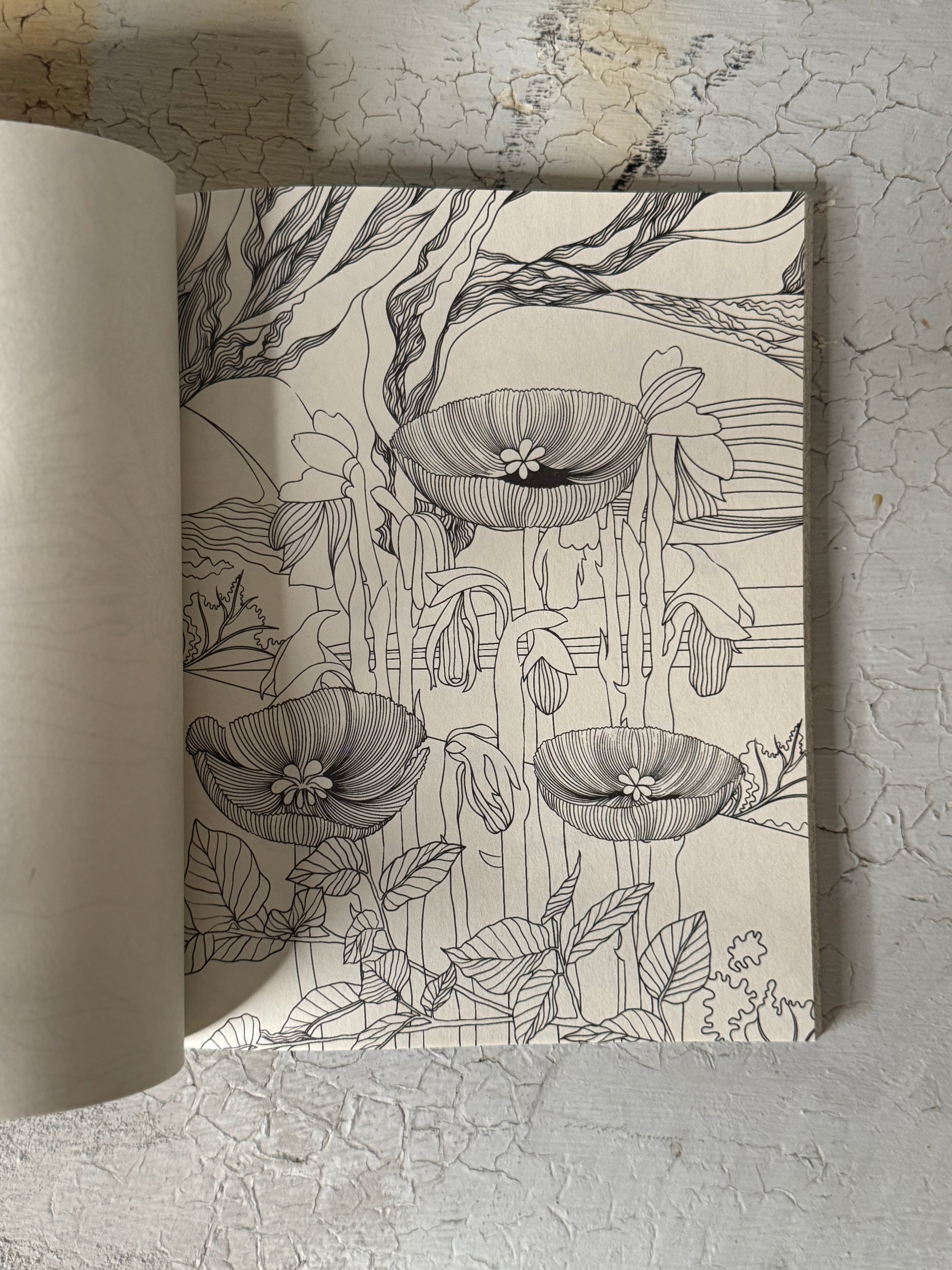 Mushroom Daydream Coloring Book by Gerta O. Egy