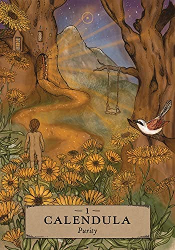 Herbal Astrology Oracle