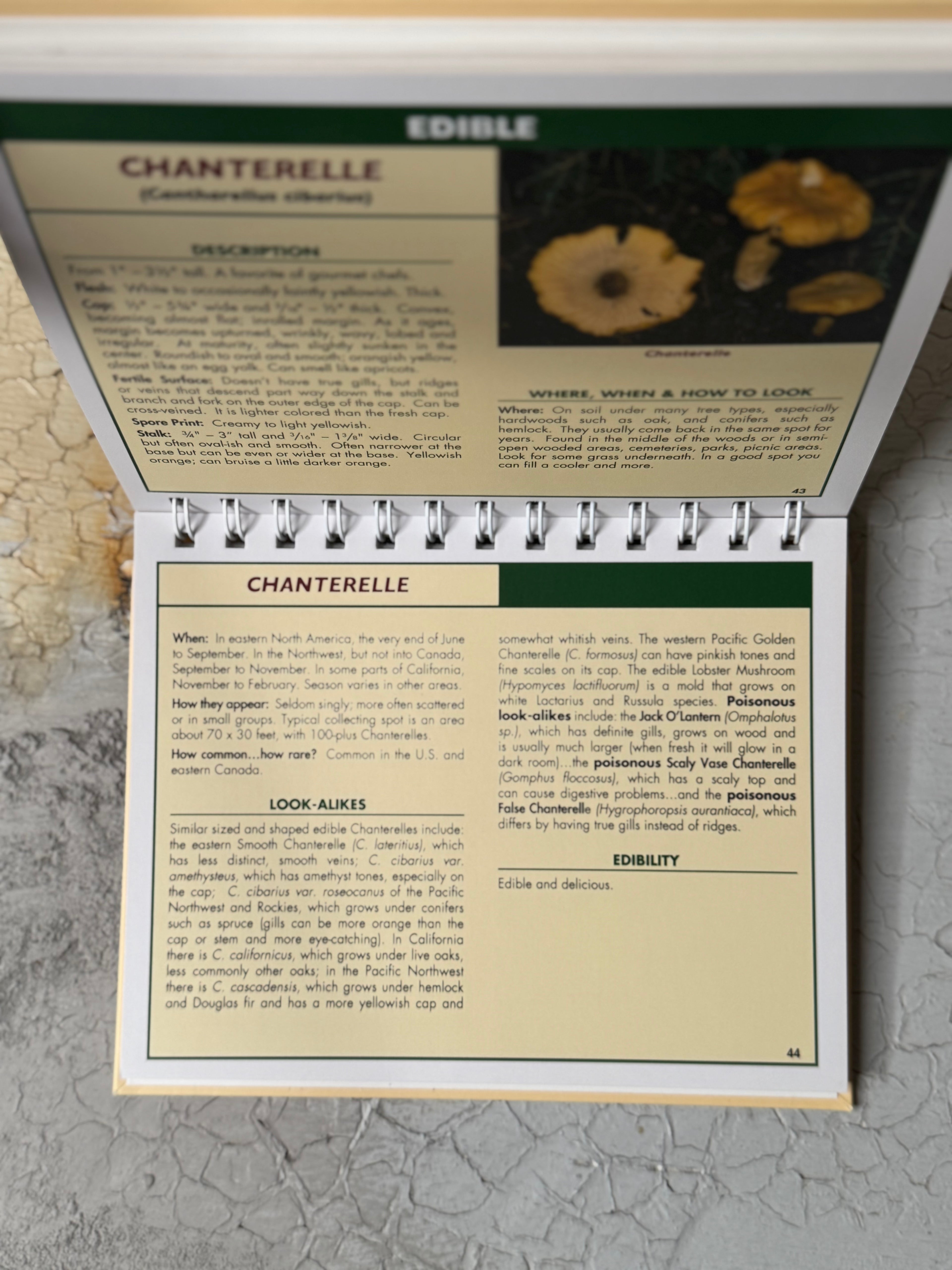 Good mushroom bad mushroom by John Plischke III