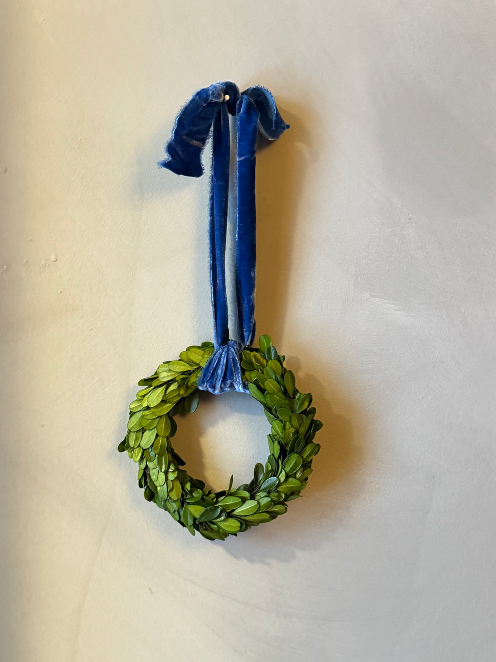 preserved boxwood wreaths with raw indigo velvet ribbon - 3 sizes