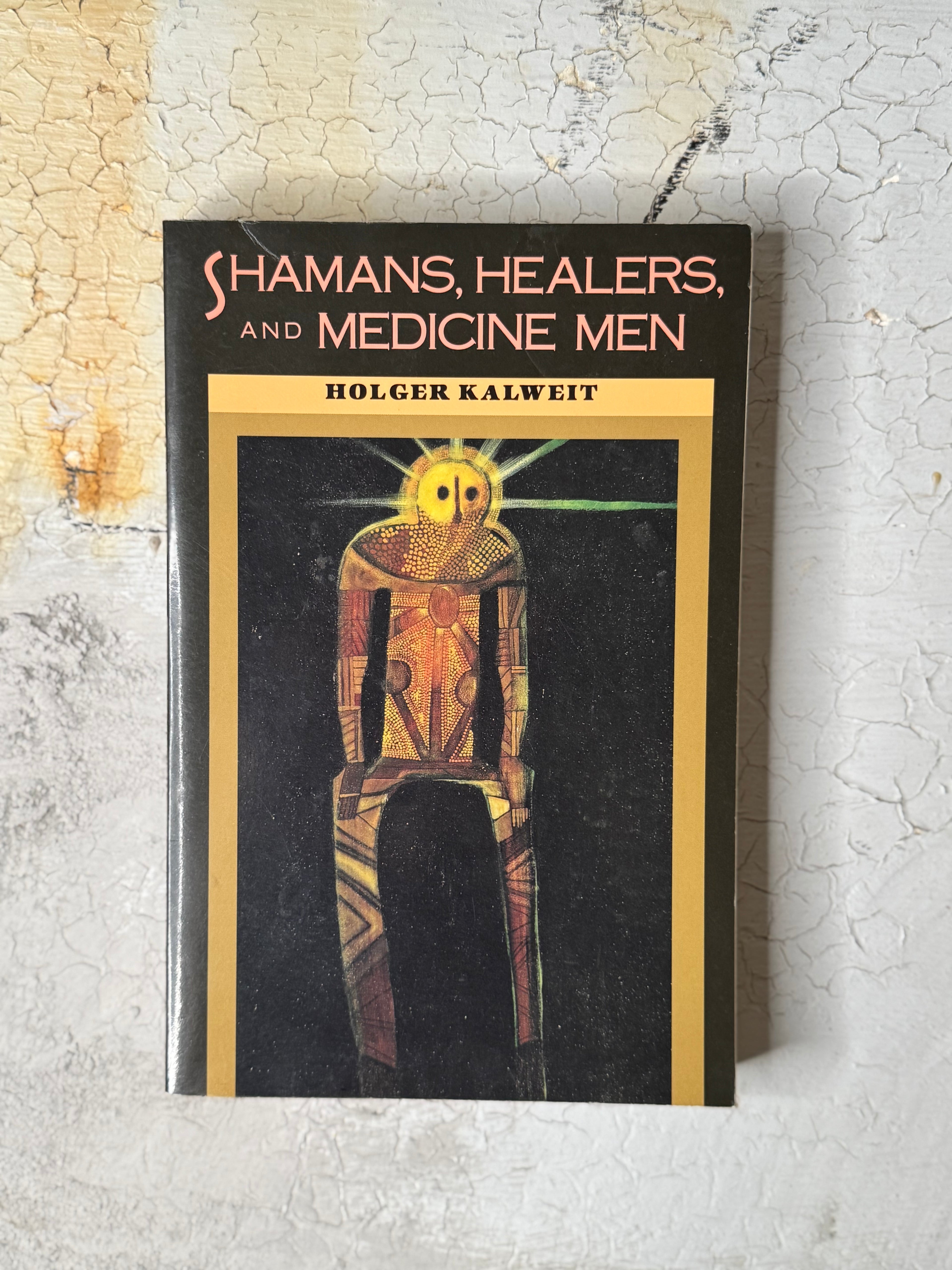 Shamans, healers and medicine men by HOLGER KALWEIT