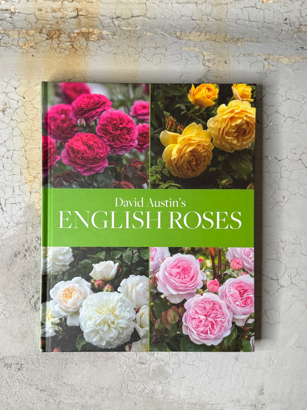 David Austin's english roses