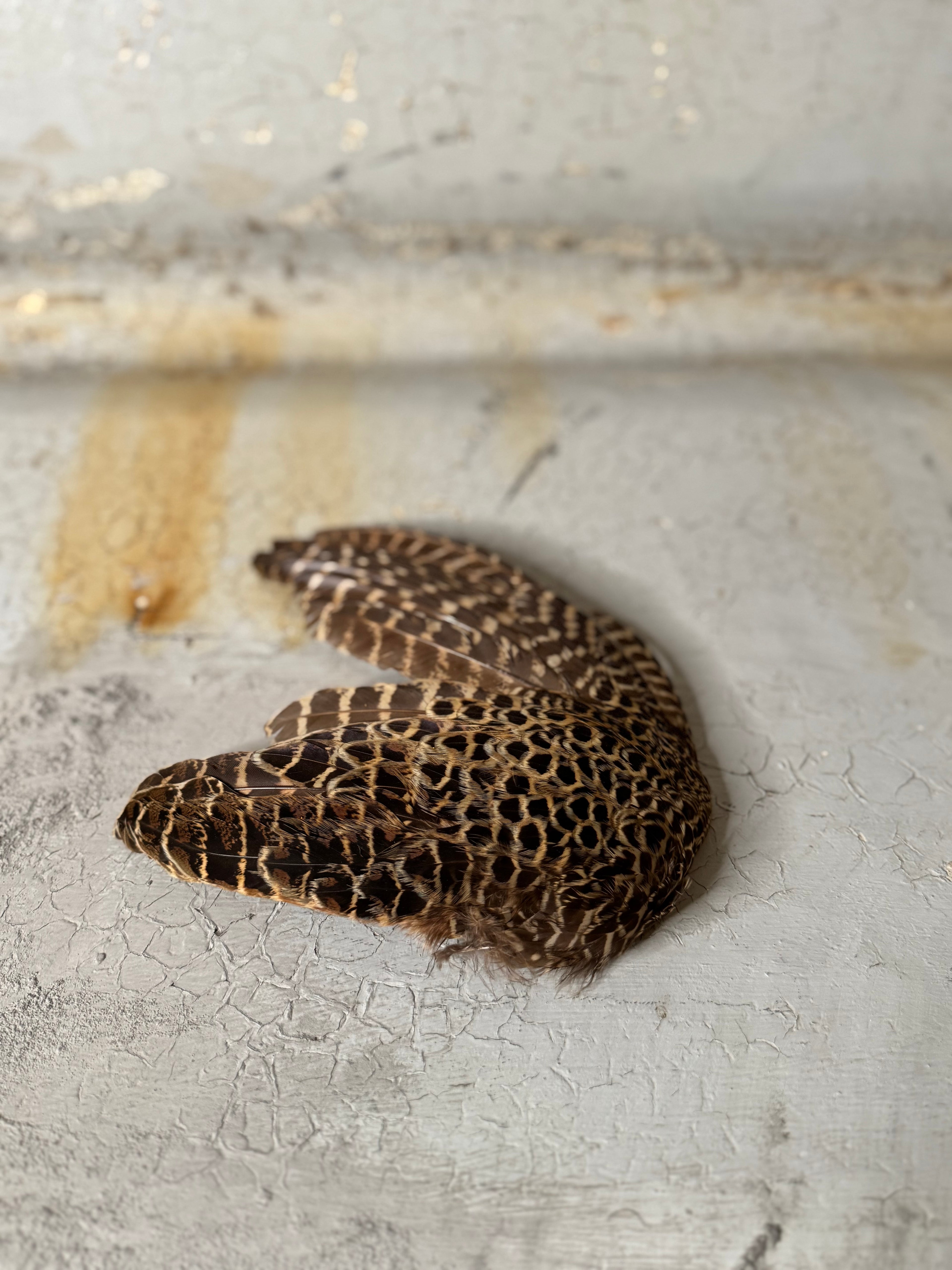 handmade feather fans