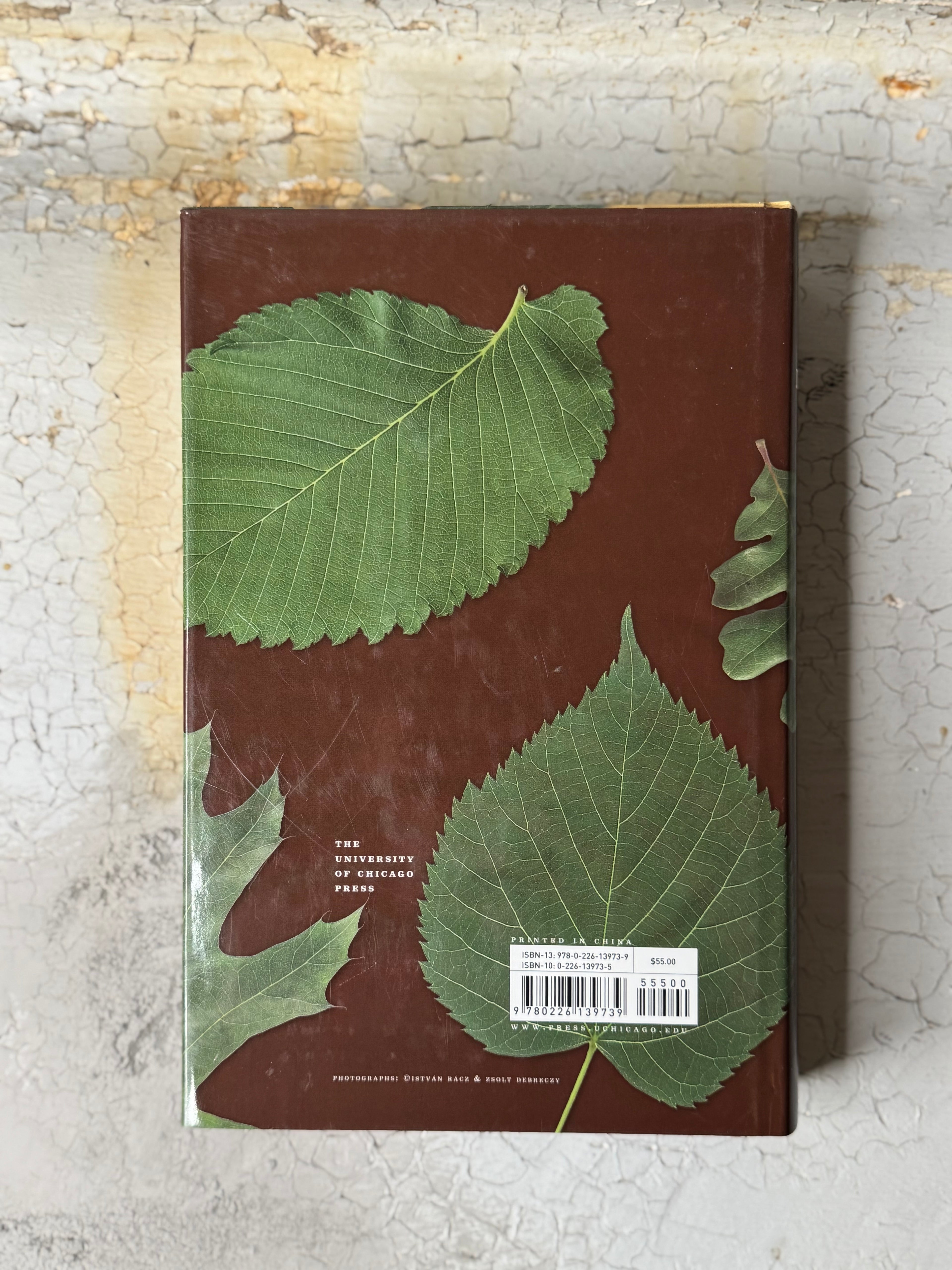 The Book of Leaves with Allen J. Coombes ,  Zsolt Debreczy  (Editor)