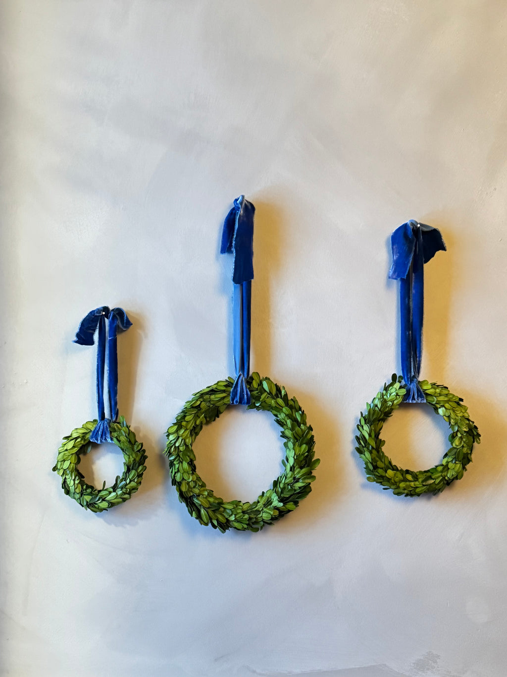 preserved boxwood wreaths with raw indigo velvet ribbon - 3 sizes