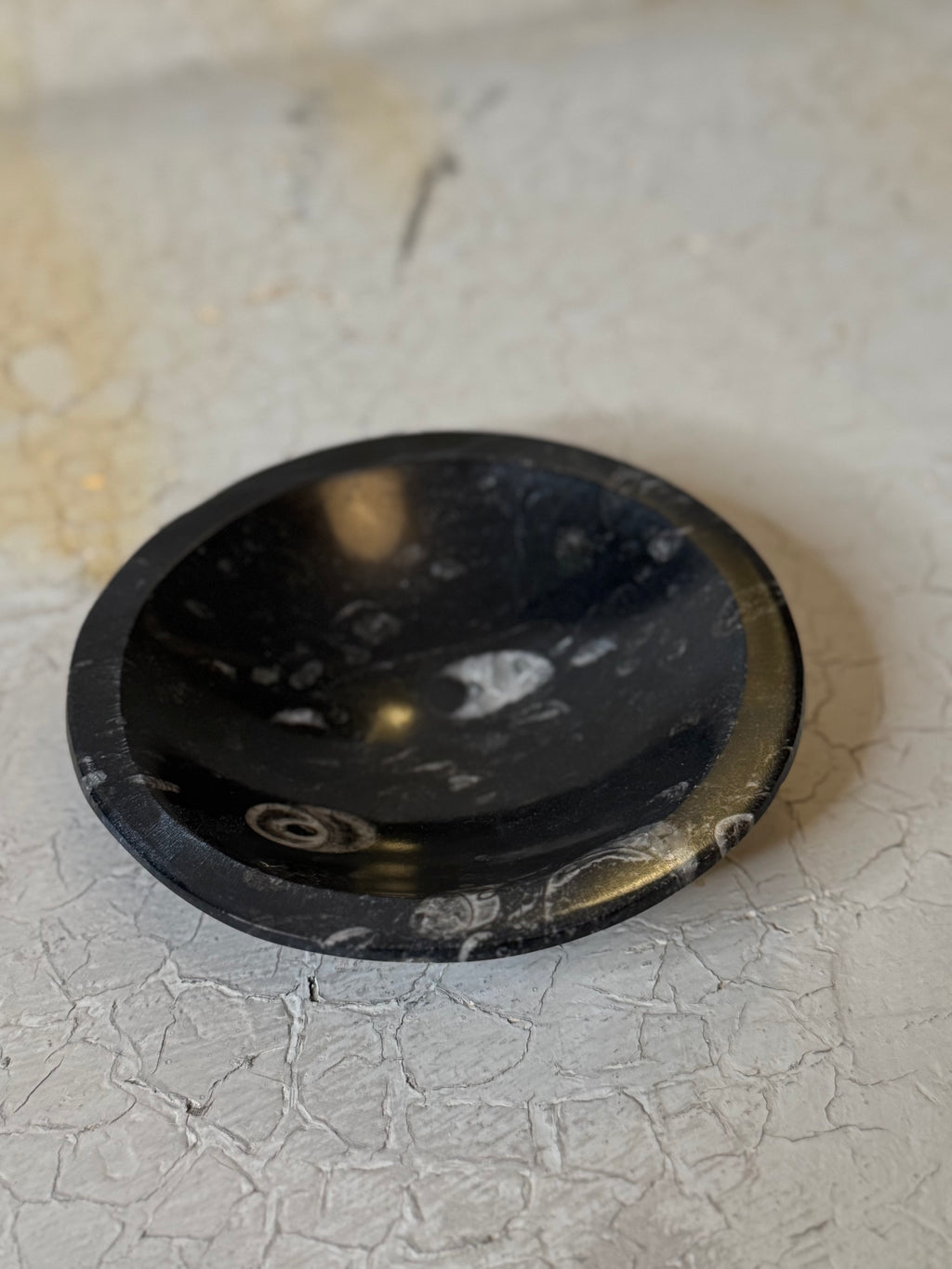 Orthoceras  Bowl