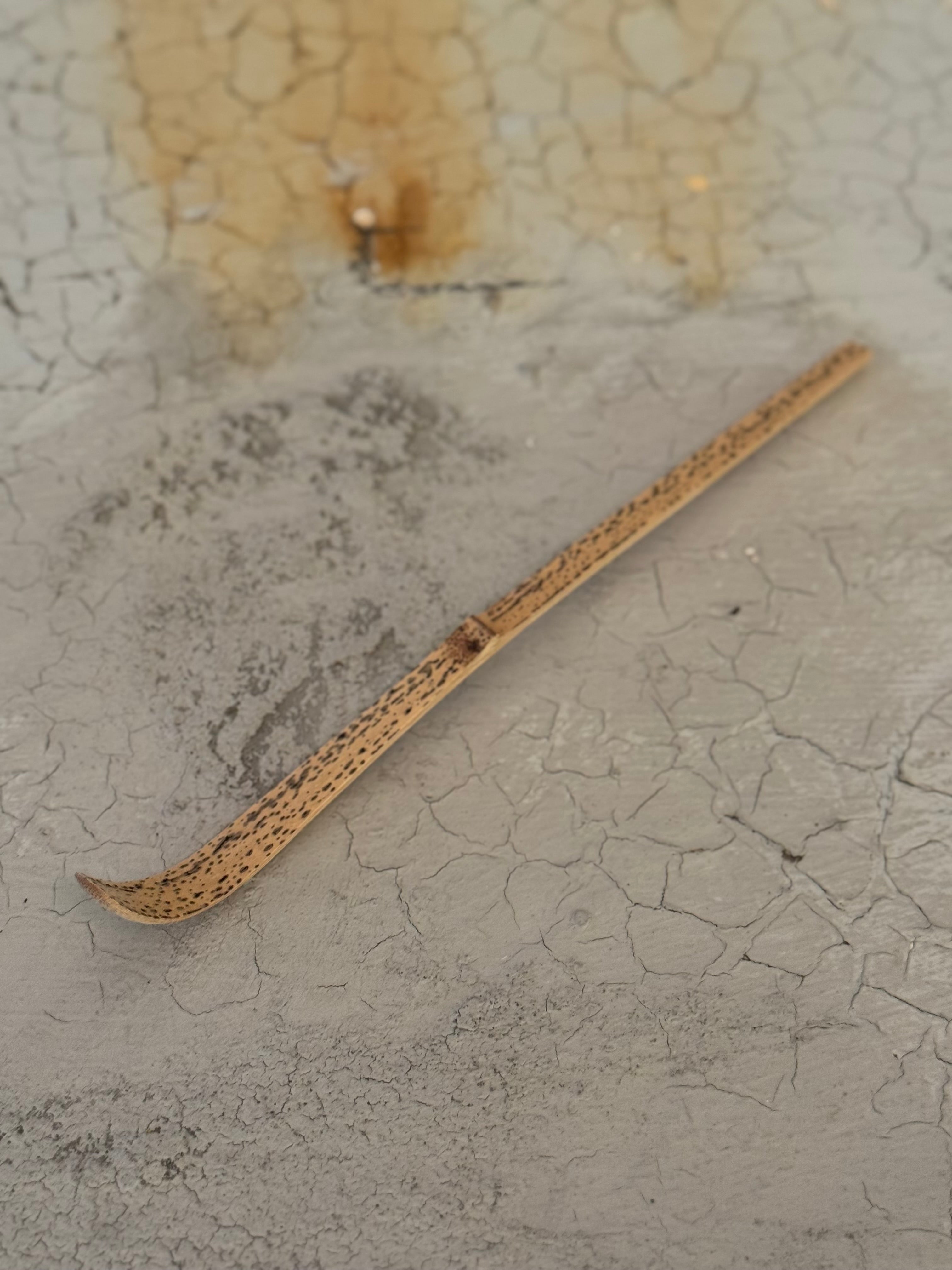 chashaku- Bamboo matcha scoop - sesame