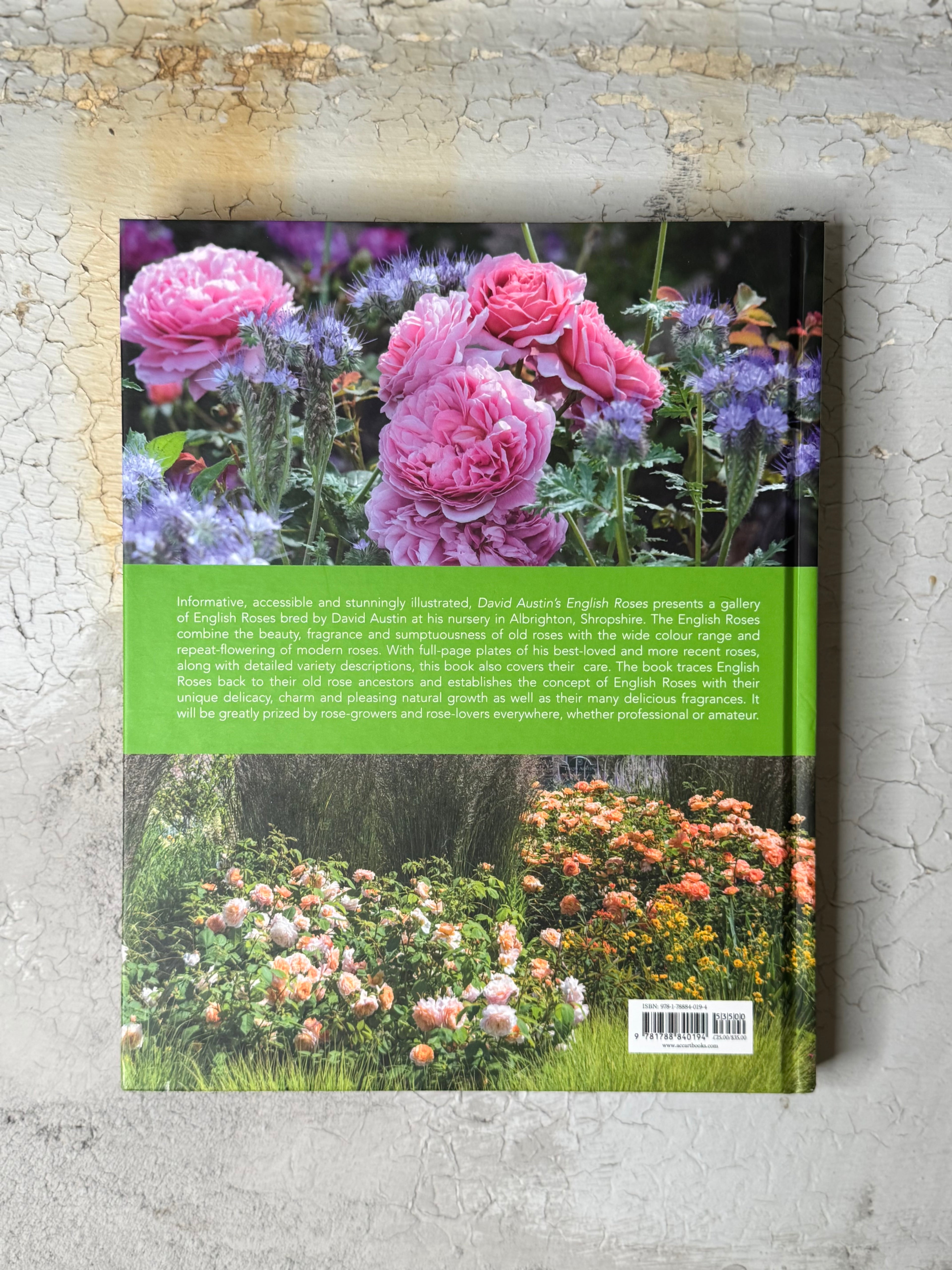 David Austin's english roses