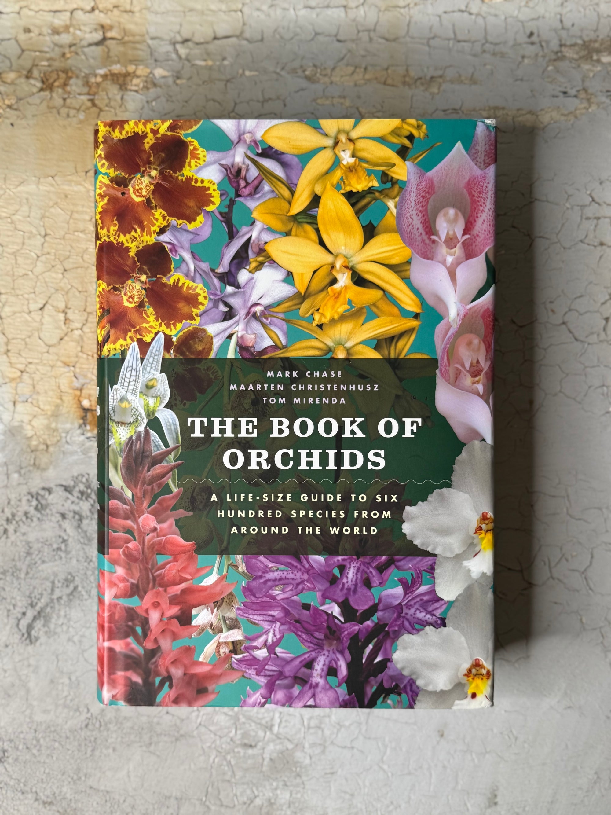 The Book of Orchids by  Mark W. Chase, Maarten J. M. Christenhusz, and Tom Mirenda